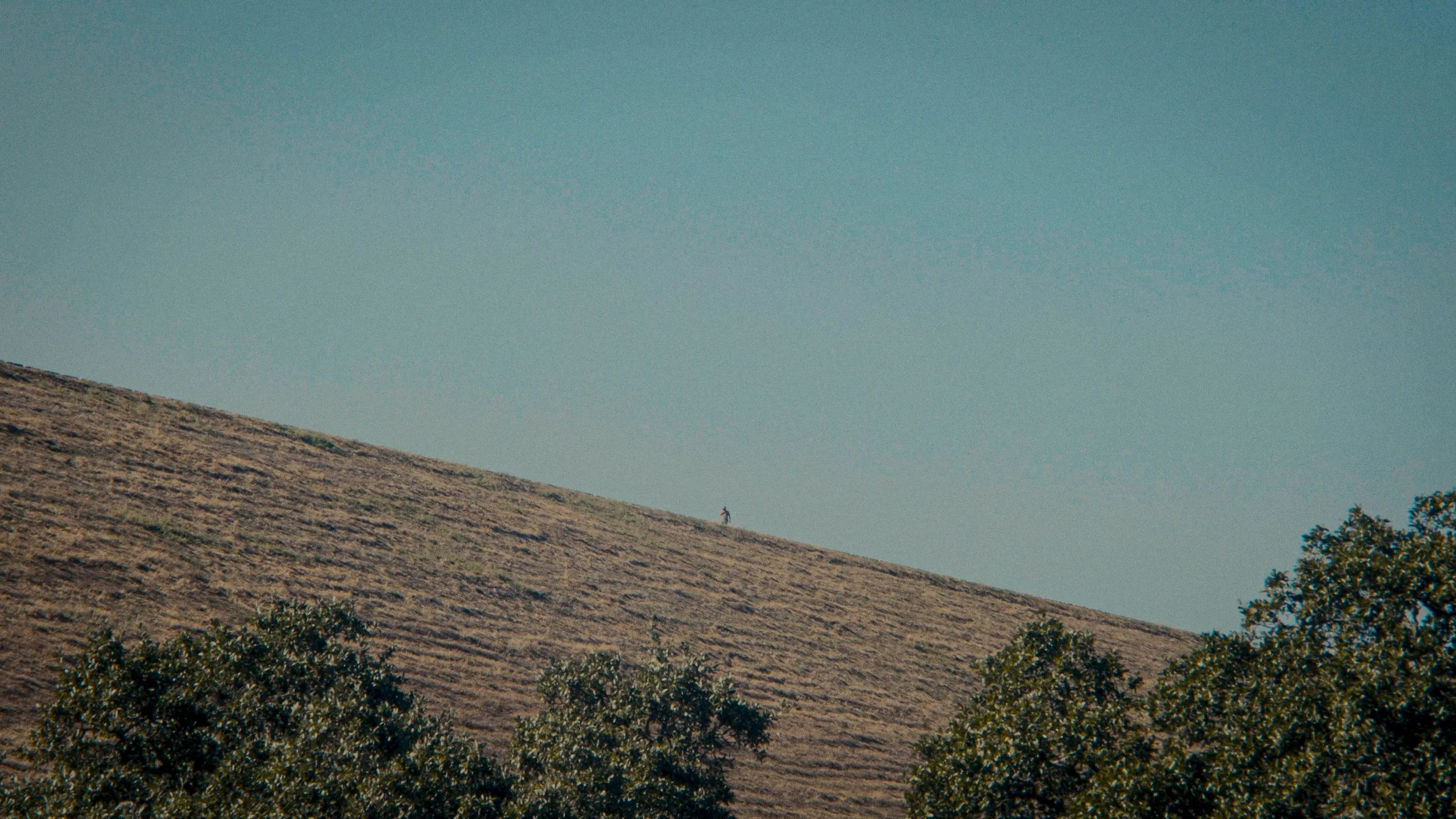 Cinematography by Spencer O'Neal