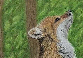 wkNak9y0S7OZzjw75y6jlg - Copy.jpeg