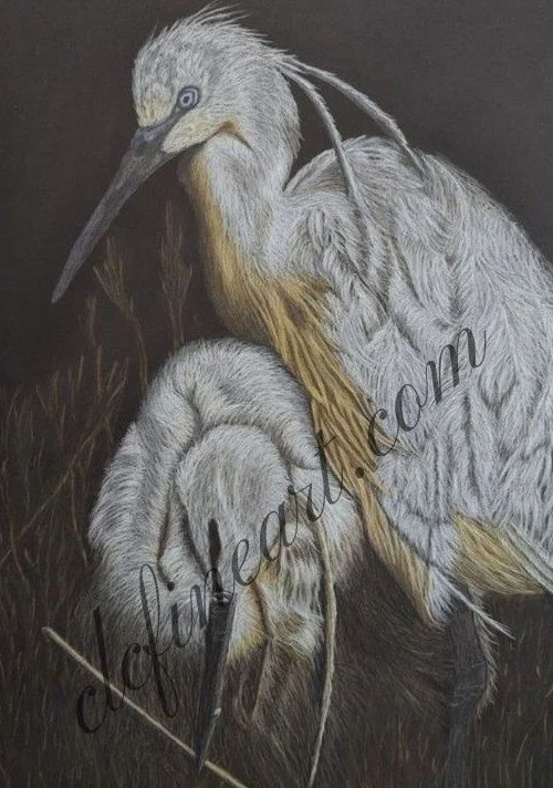 Nesting