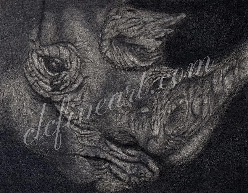 Rhino