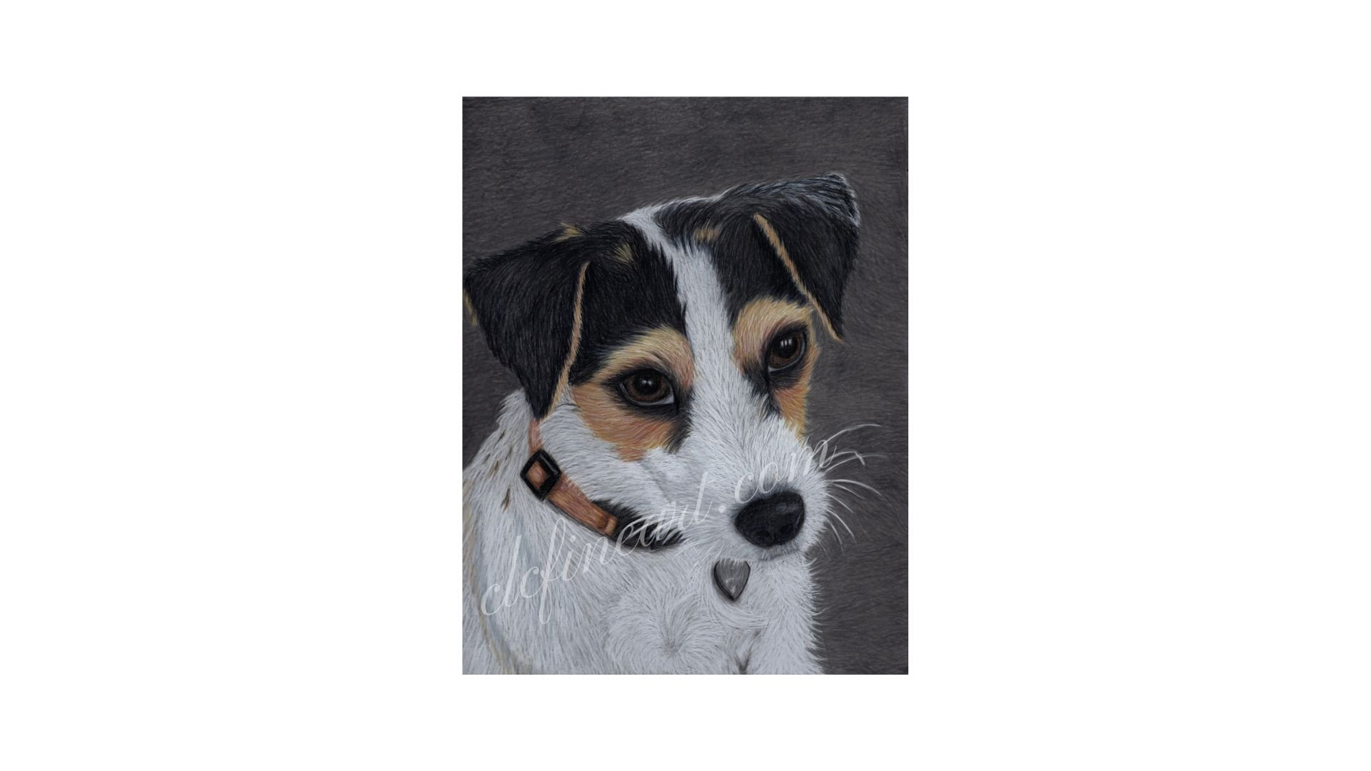 Jack Russell