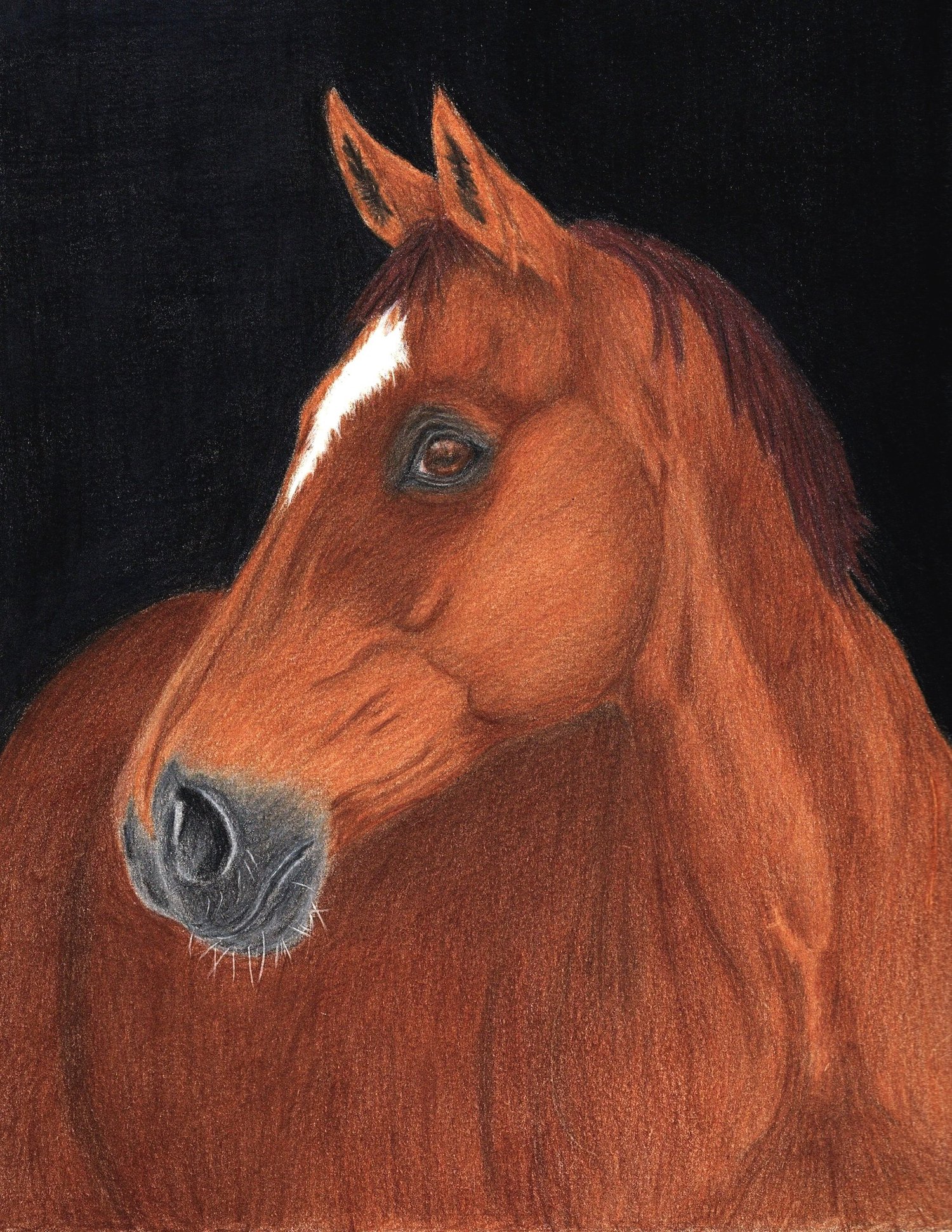 CLC FINE ART