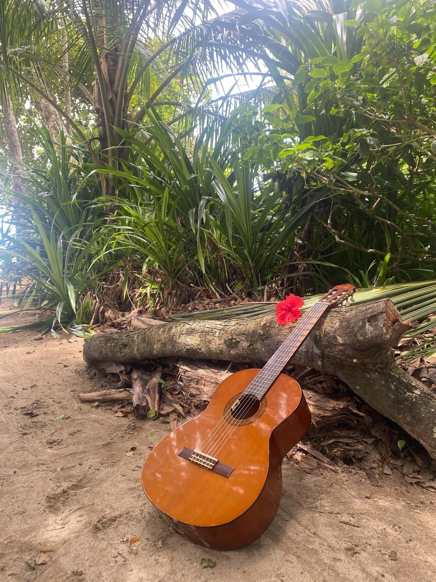 Amoress, new soundscape &amp; somatic movement video is up on youtube, go listen &amp; flow with me <3