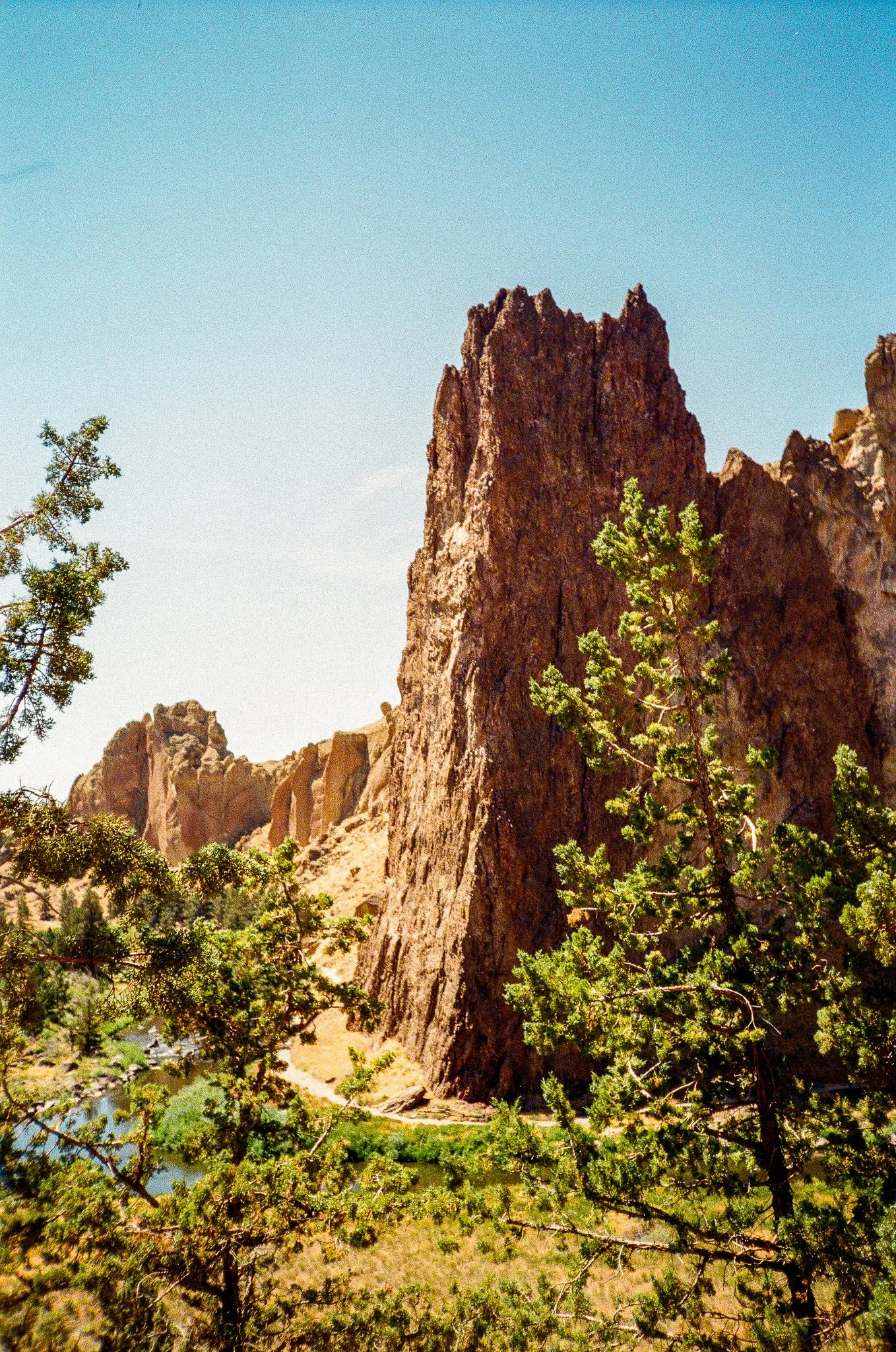 Scan36122.jpg