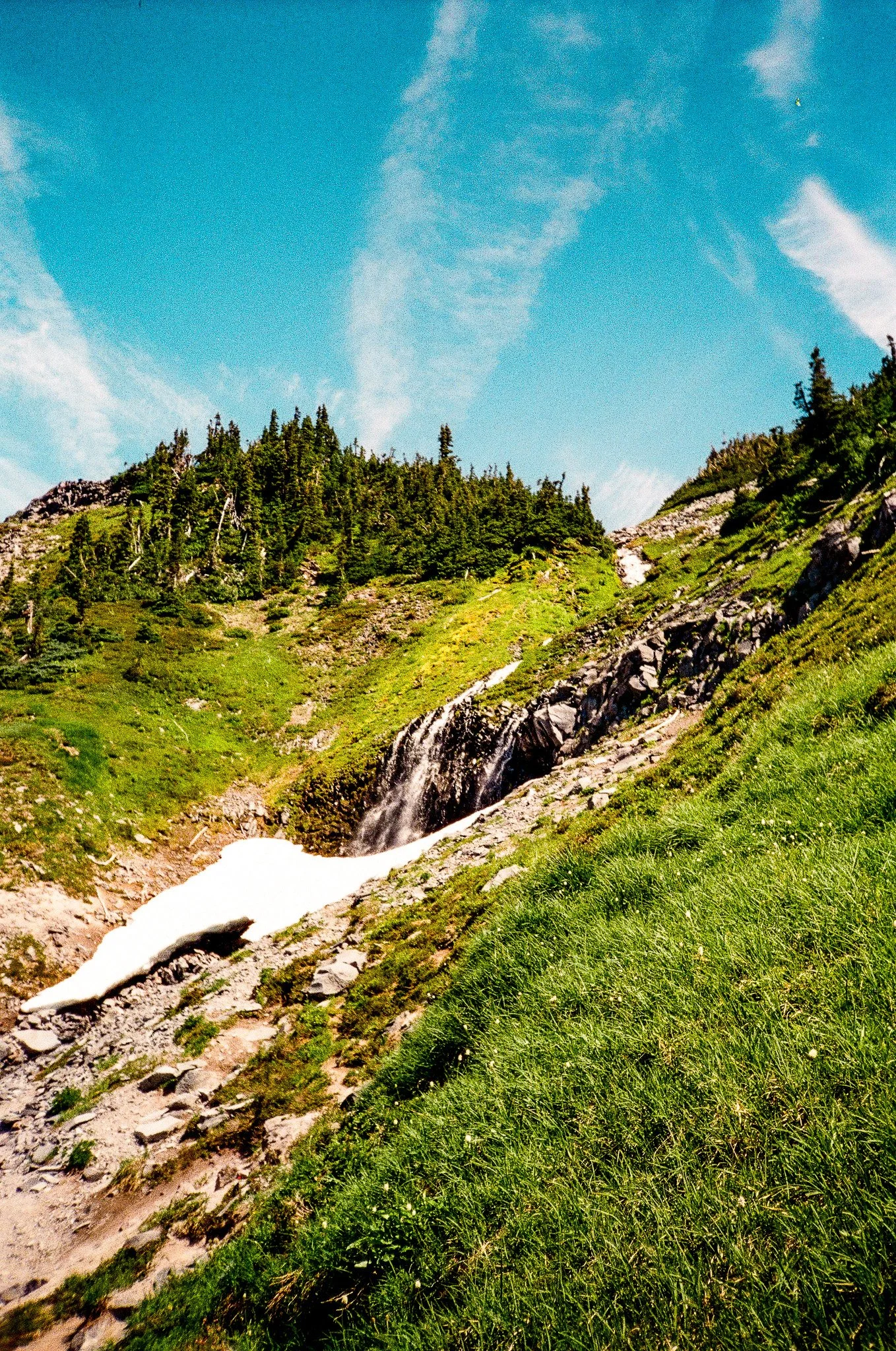 Scan36111.jpg