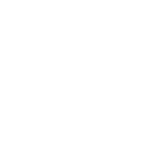 Firefly Fête Trust Party