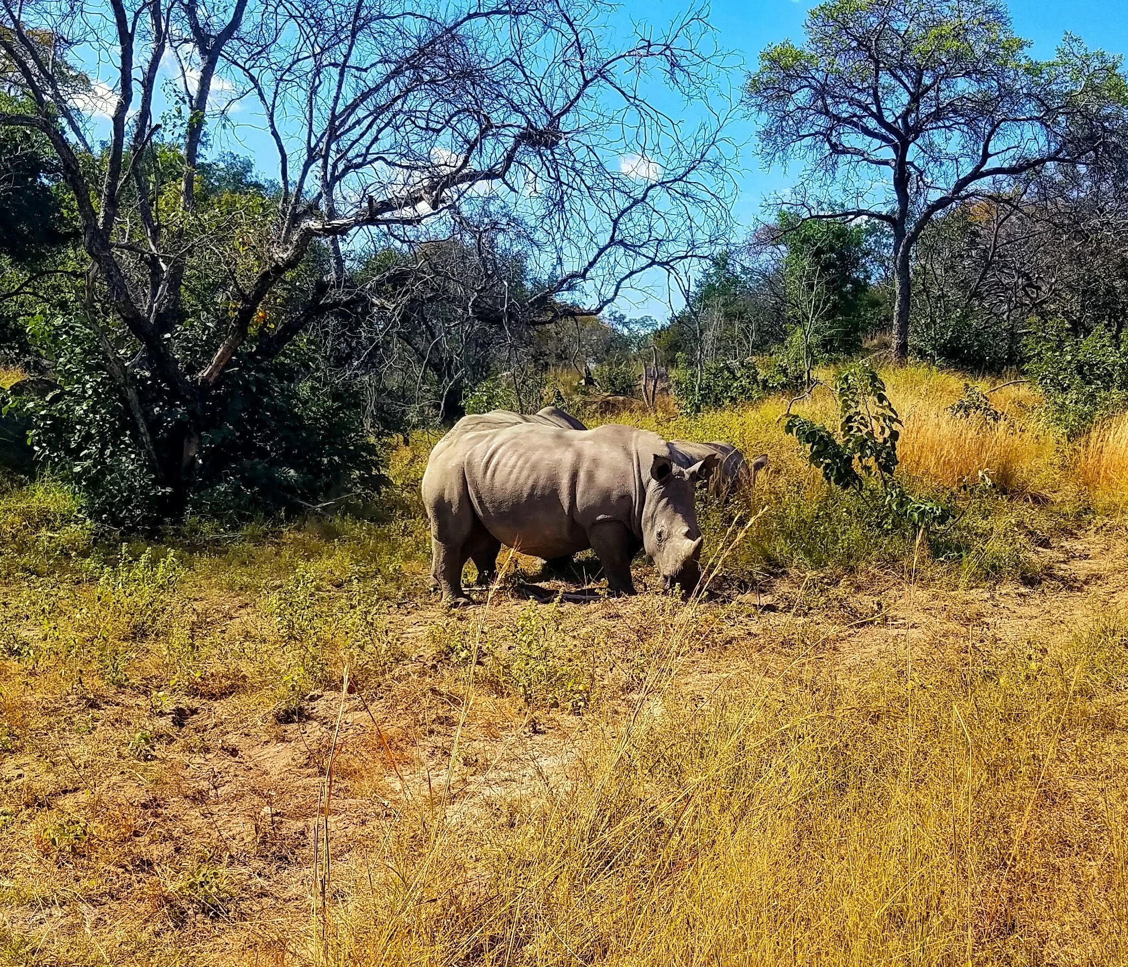 20180513_111208-01 (1).jpeg