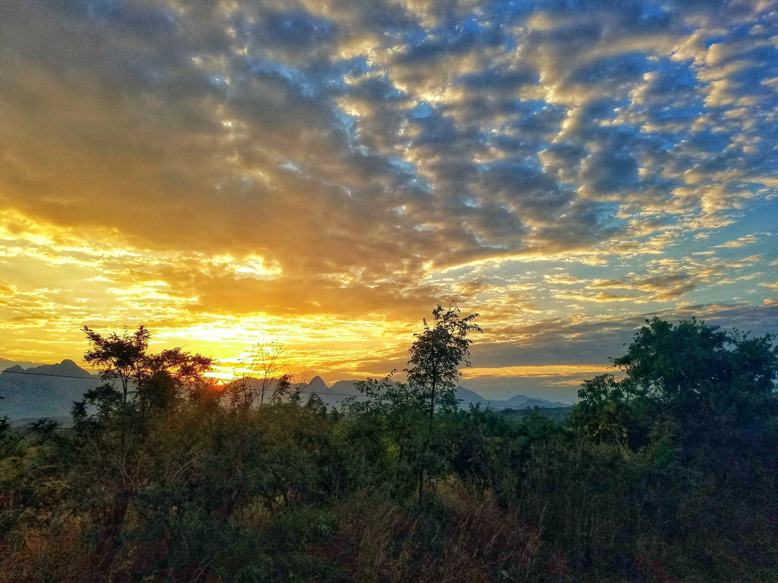 20180523_170110-01 (1).jpeg