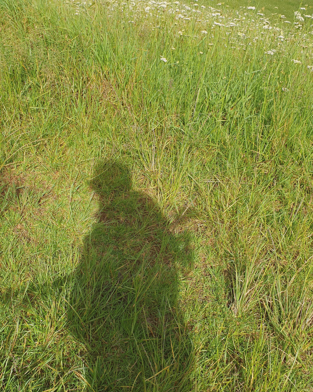 When The Soul Misses The Body