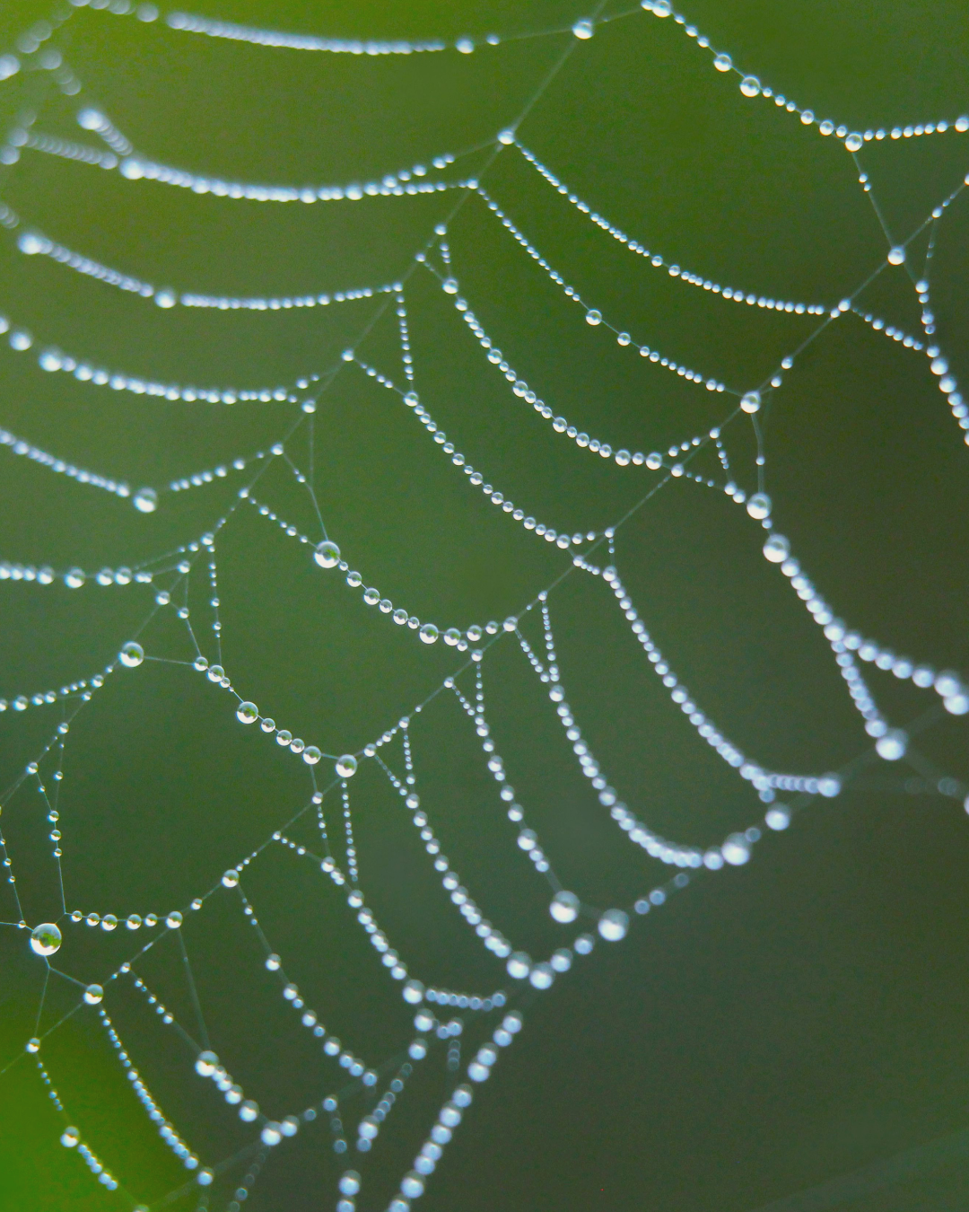 Loving Your Mind When You’re a Highly Sensitive Woman