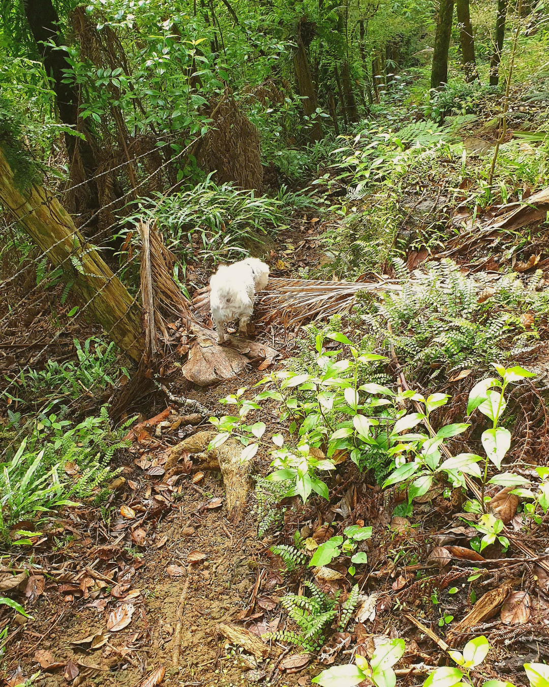 The Slow Work of Coming Home to Yourself