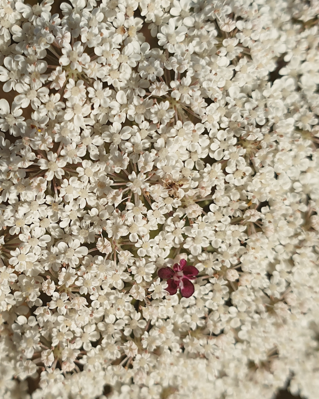 When Emotions Run Deep — Learning to Listen to What Lies Beneath