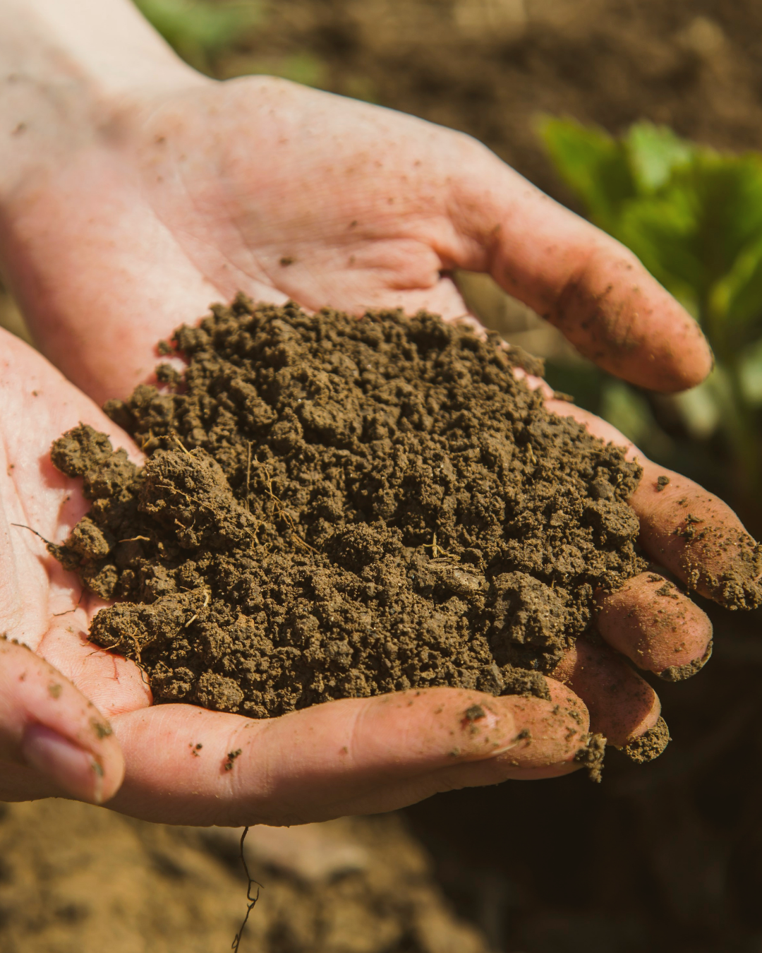 Nourishment That Starts with More — Feeding Your Sensitive, Sensation-Seeking System Back to Life