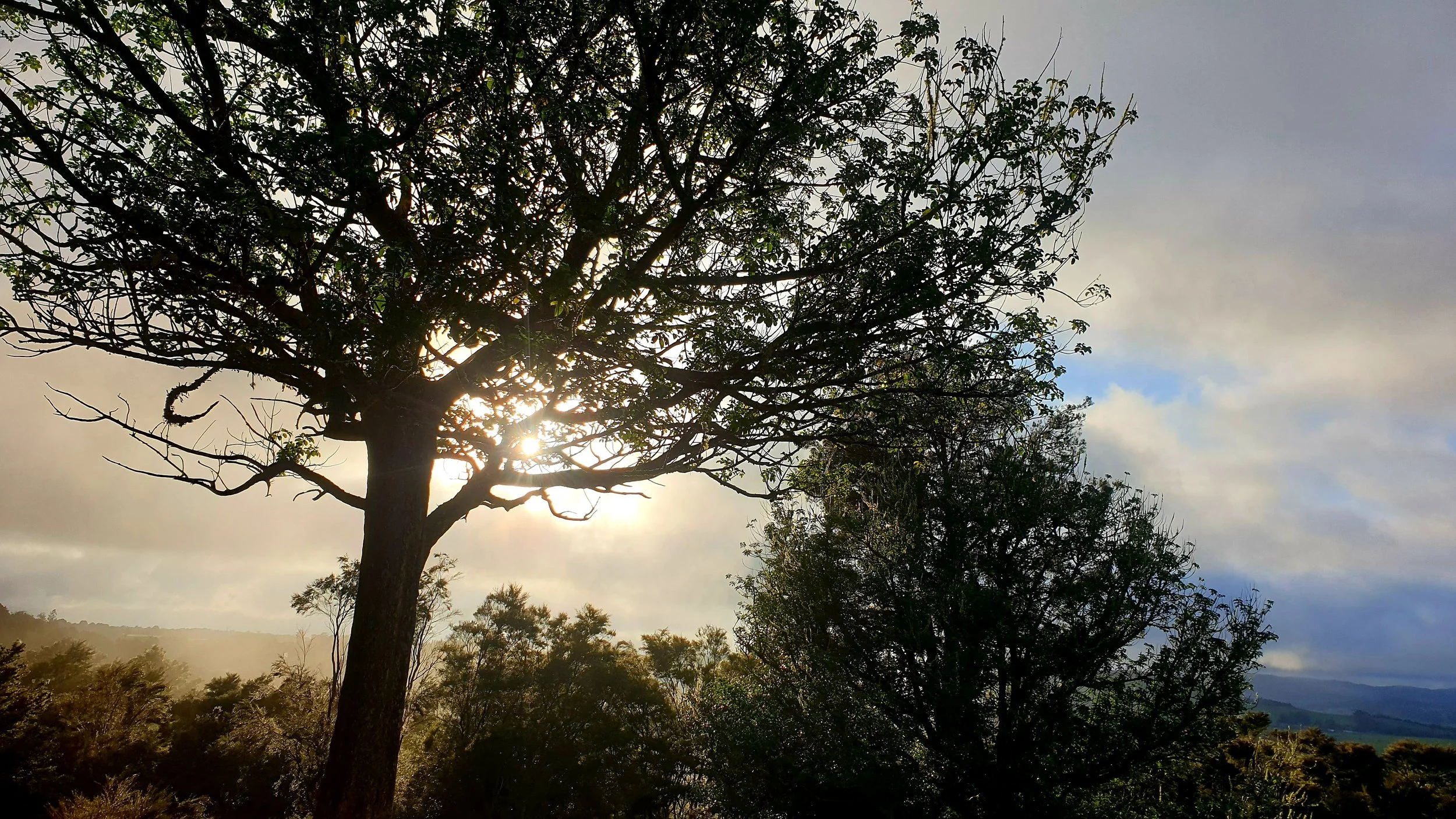 When Awareness Isn’t Enough