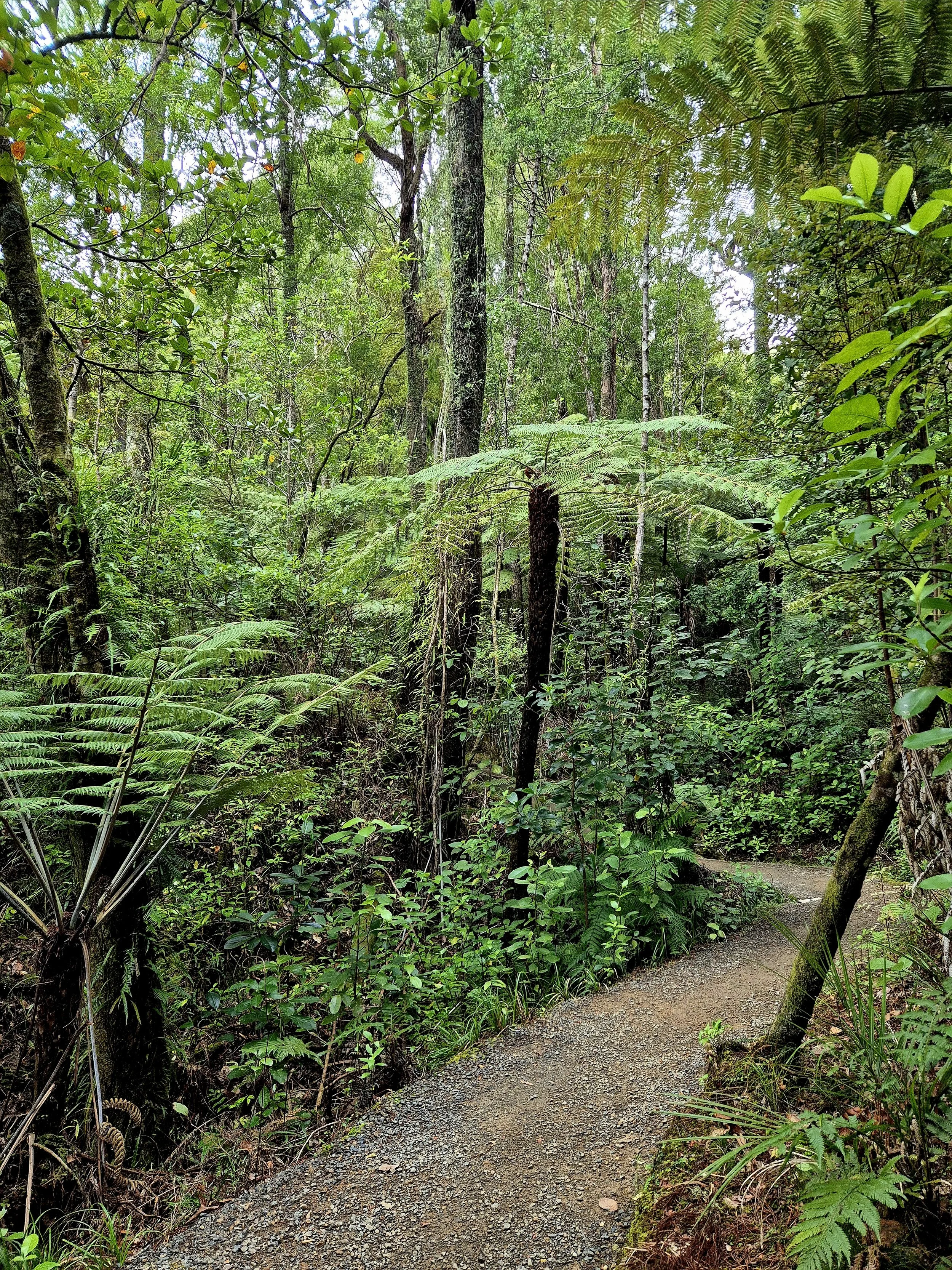 What Do You Want to Spend Your Life-Energy On? | Capacity in Midlife