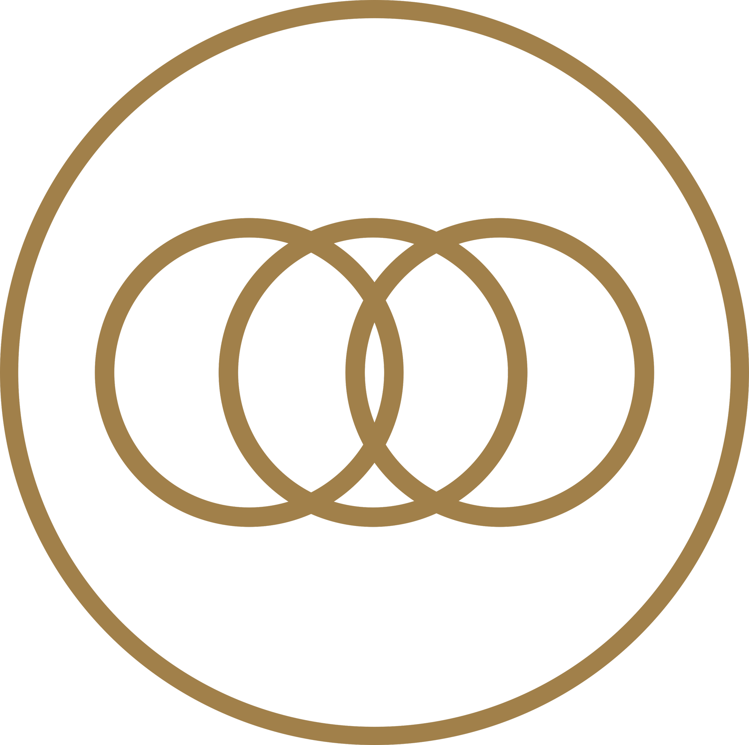 Emotions icon with three overlapping circles symbolising emotional layers, complexity, and integration.