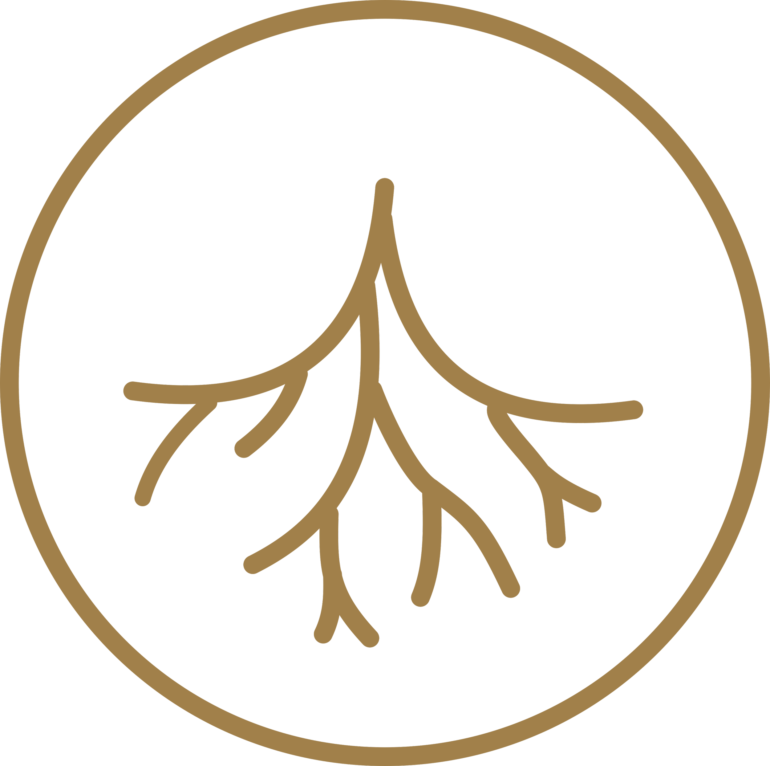 Grounded program icon with roots representing a calm, steady nervous system.