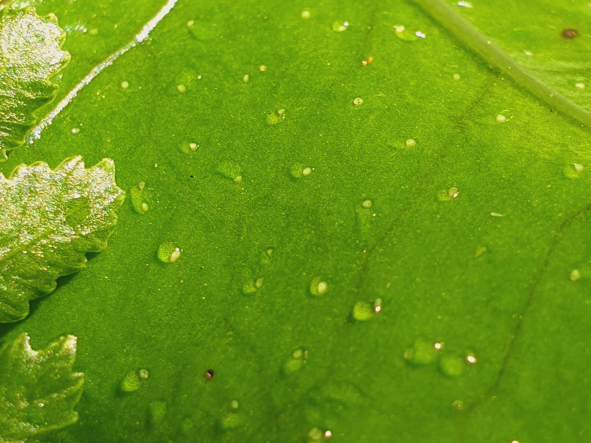 The Body Remembers: Noticing tension without fear or pressure.