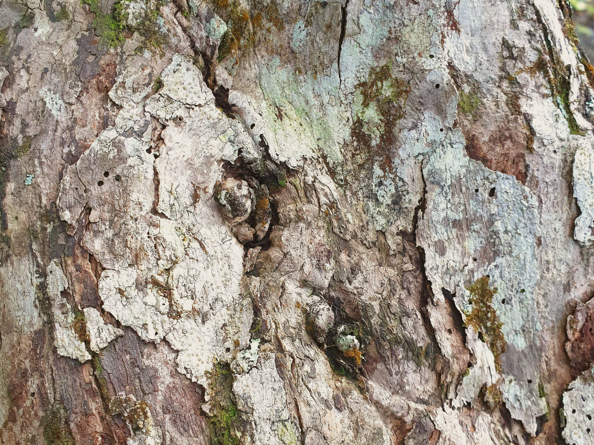 Safety and Steadiness: A soft grounding start and a simple breath to steady your body.