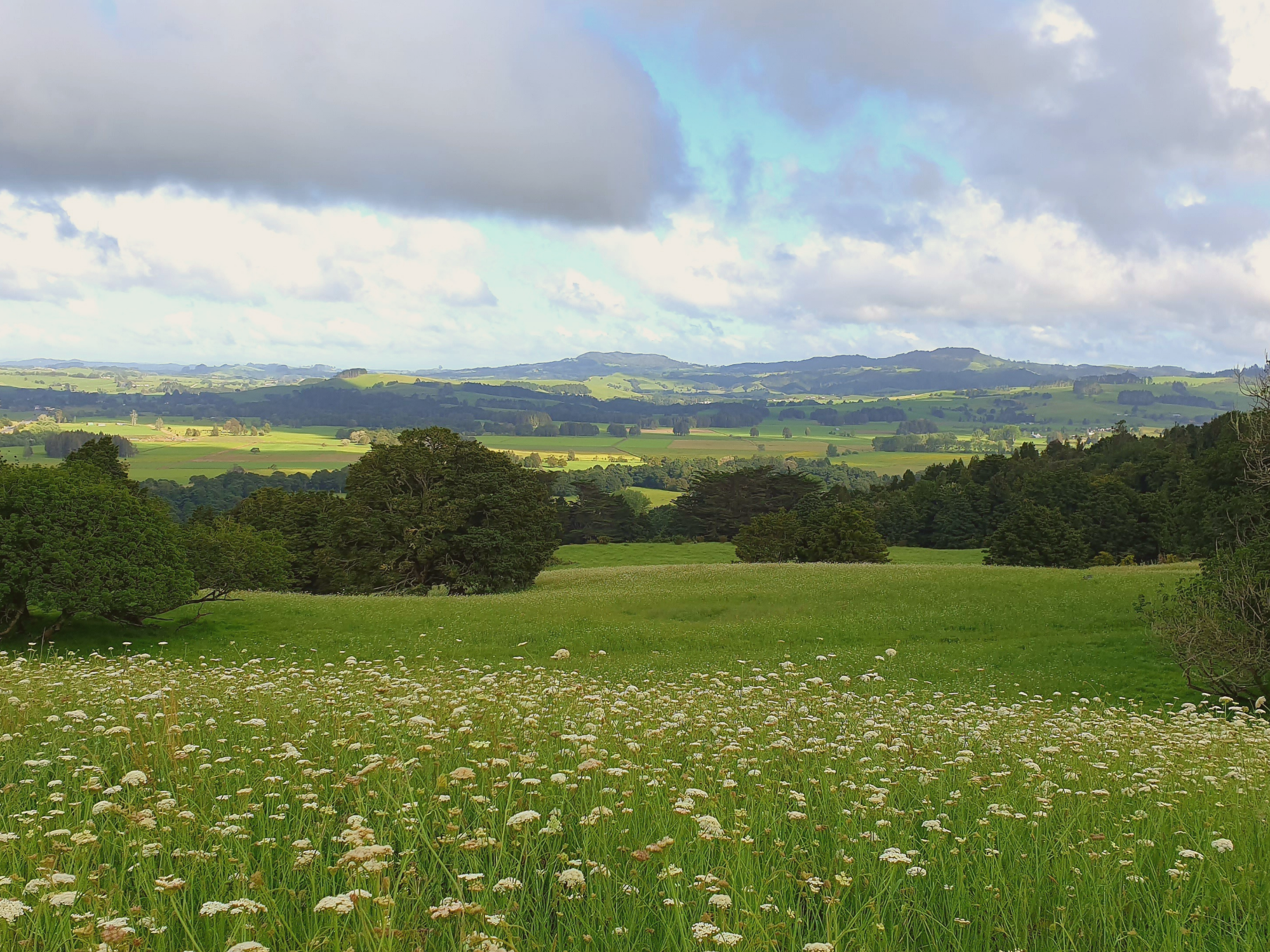 Expansive New Zealand landscape offering calm, space, and nervous-system clarity for highly sensitive women.