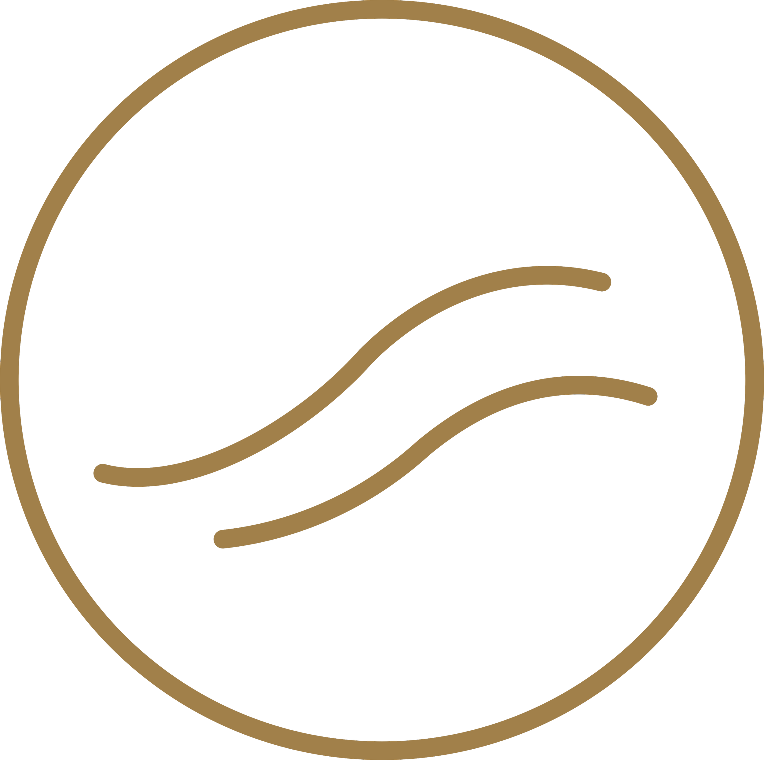 Breath icon with flowing lines symbolising nervous system regulation through breathing.