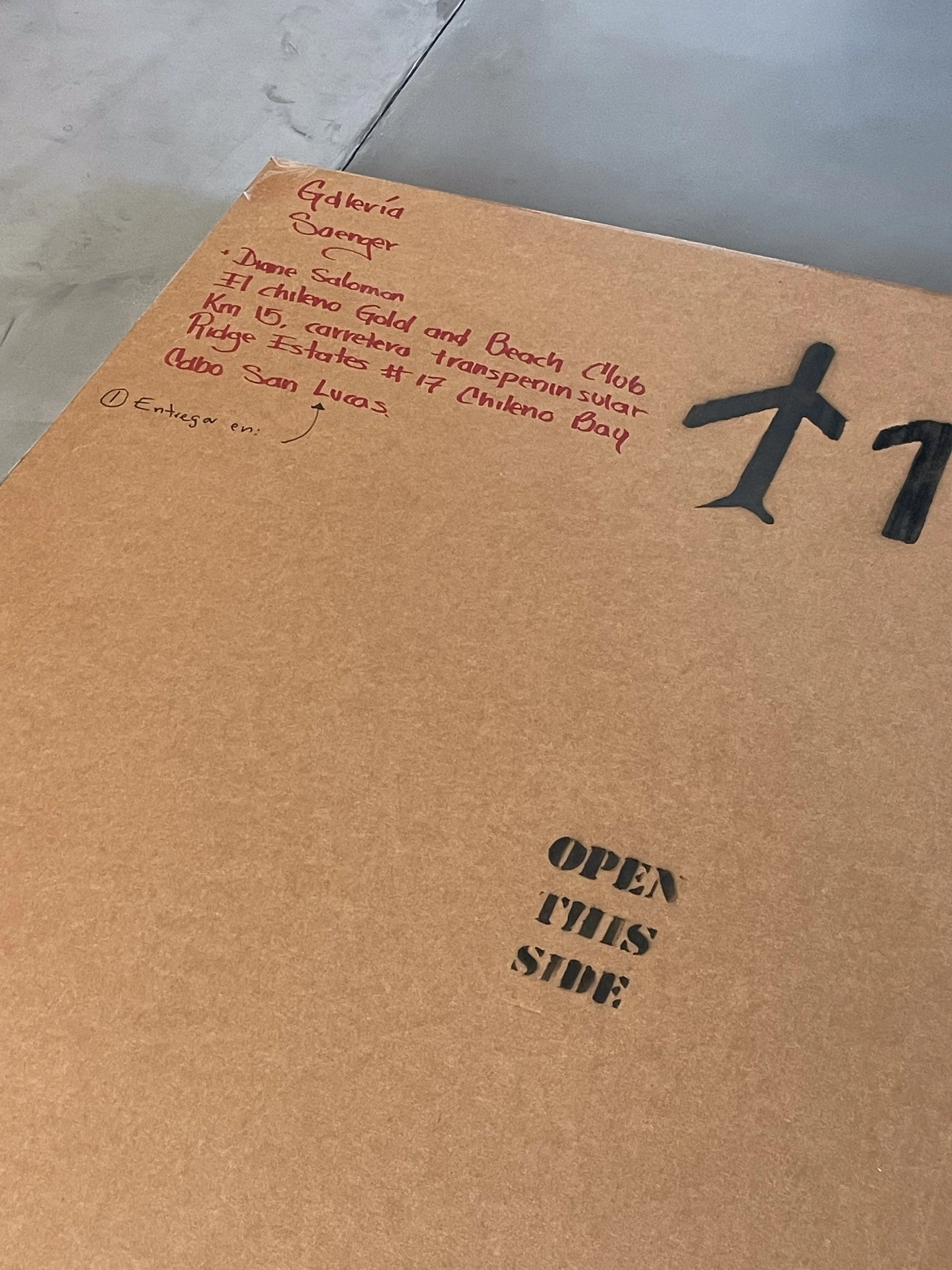 Shipping (CDMX- GDL- Cabo)