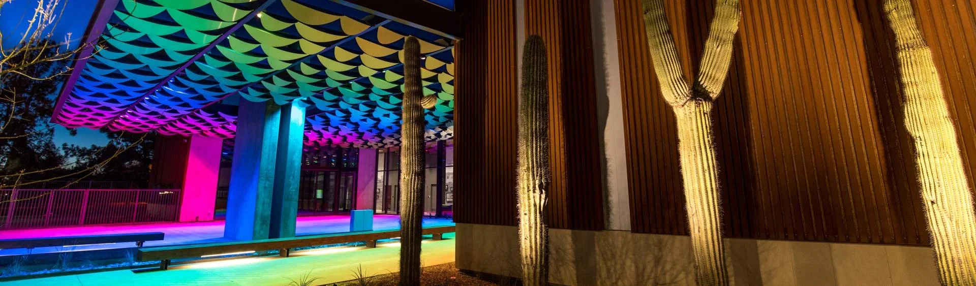 Chandler Art Musem building near pavilion with a decorated ceiling, vertical cactus plants, and colorful LED lighting illuminating the exterior in various colors.