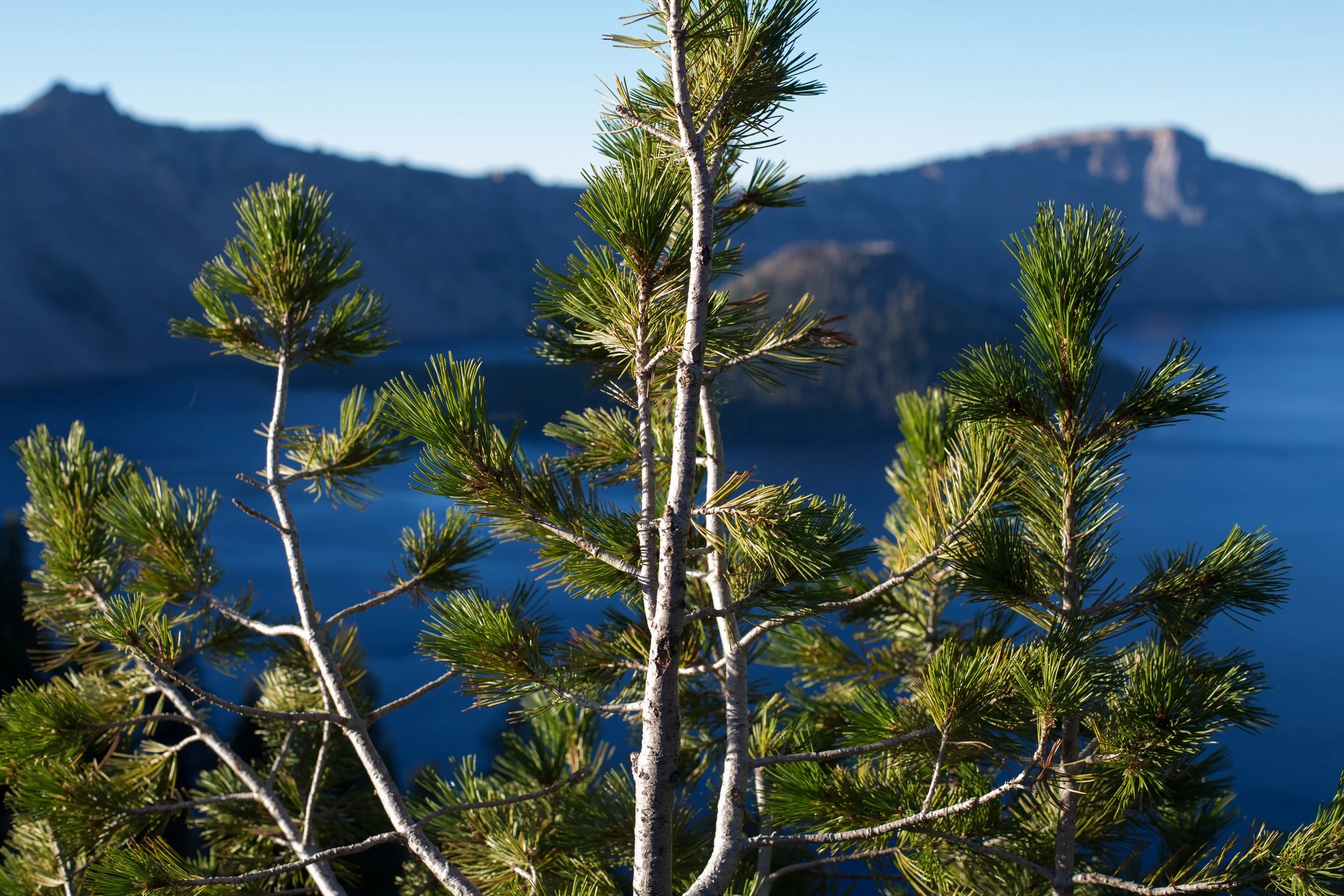 crater lake-6352.jpg