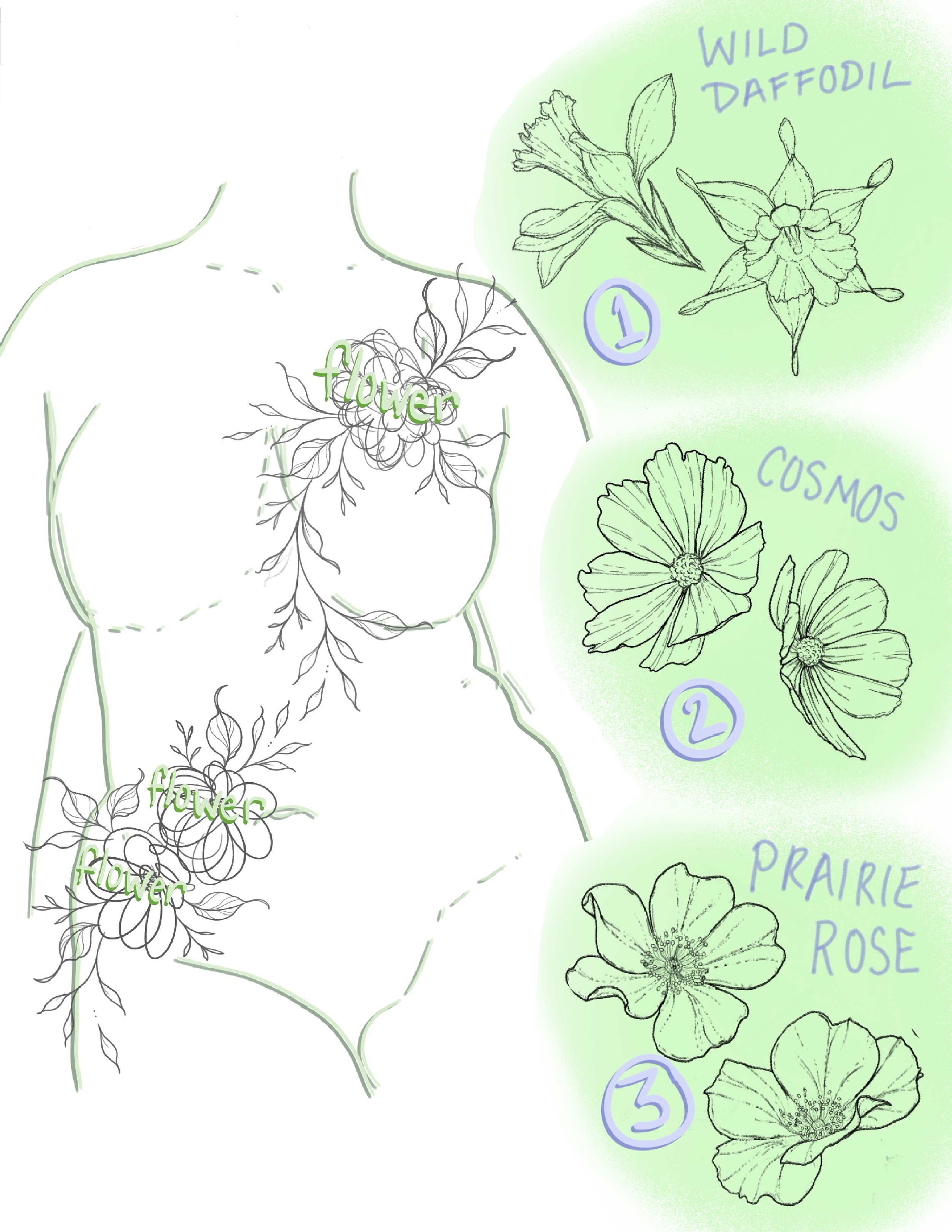 Floral Cluster: Body Contor