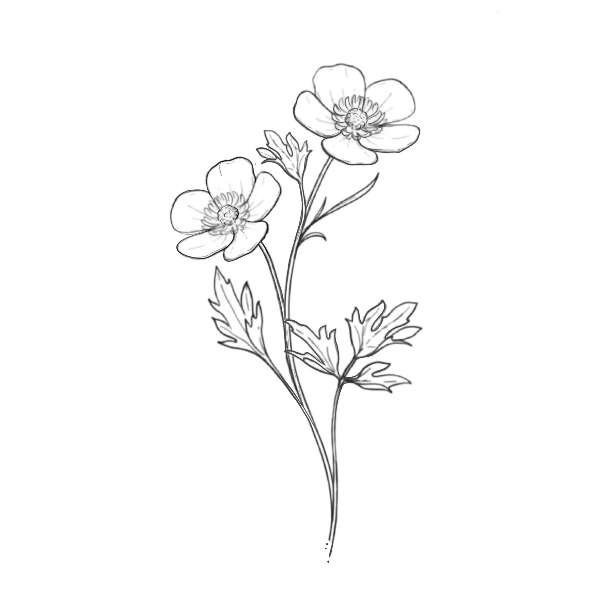 Buttercups