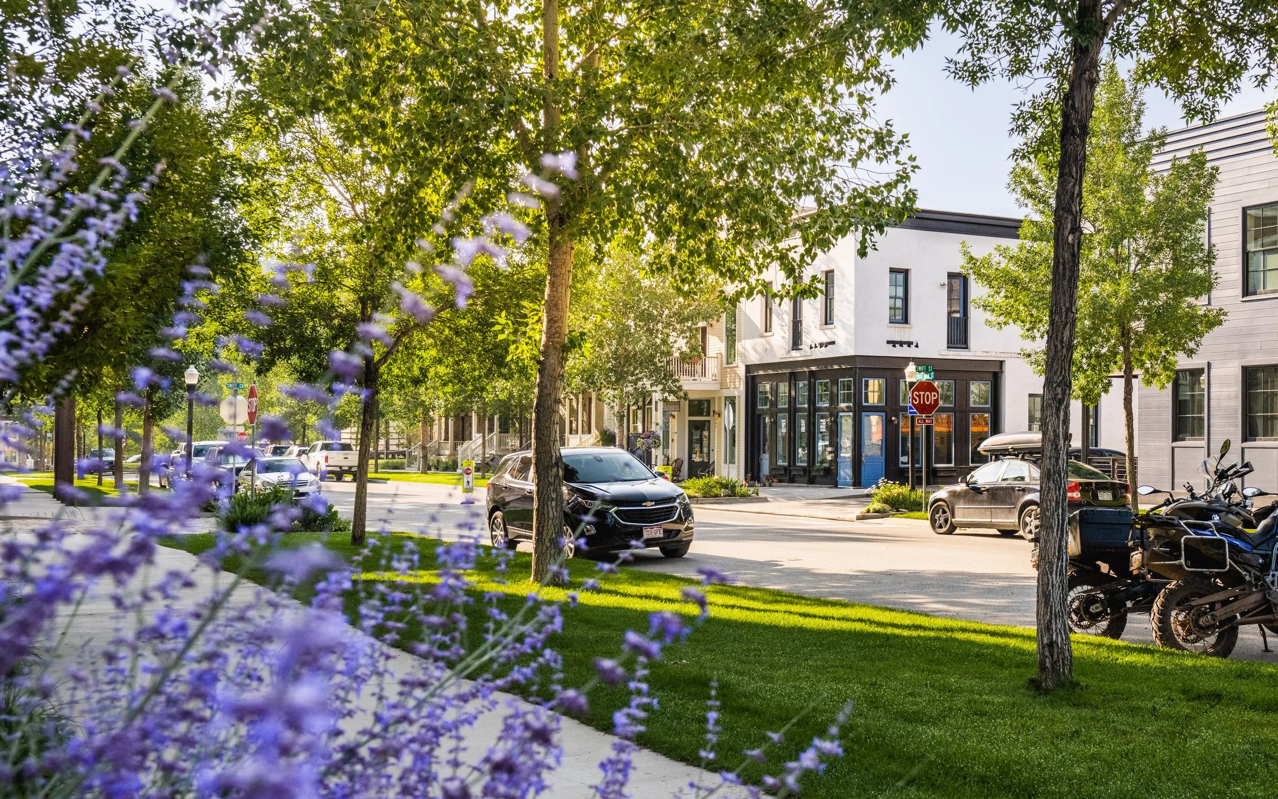 BuenaVista-SouthMain-NewUrbanism-0001.jpg