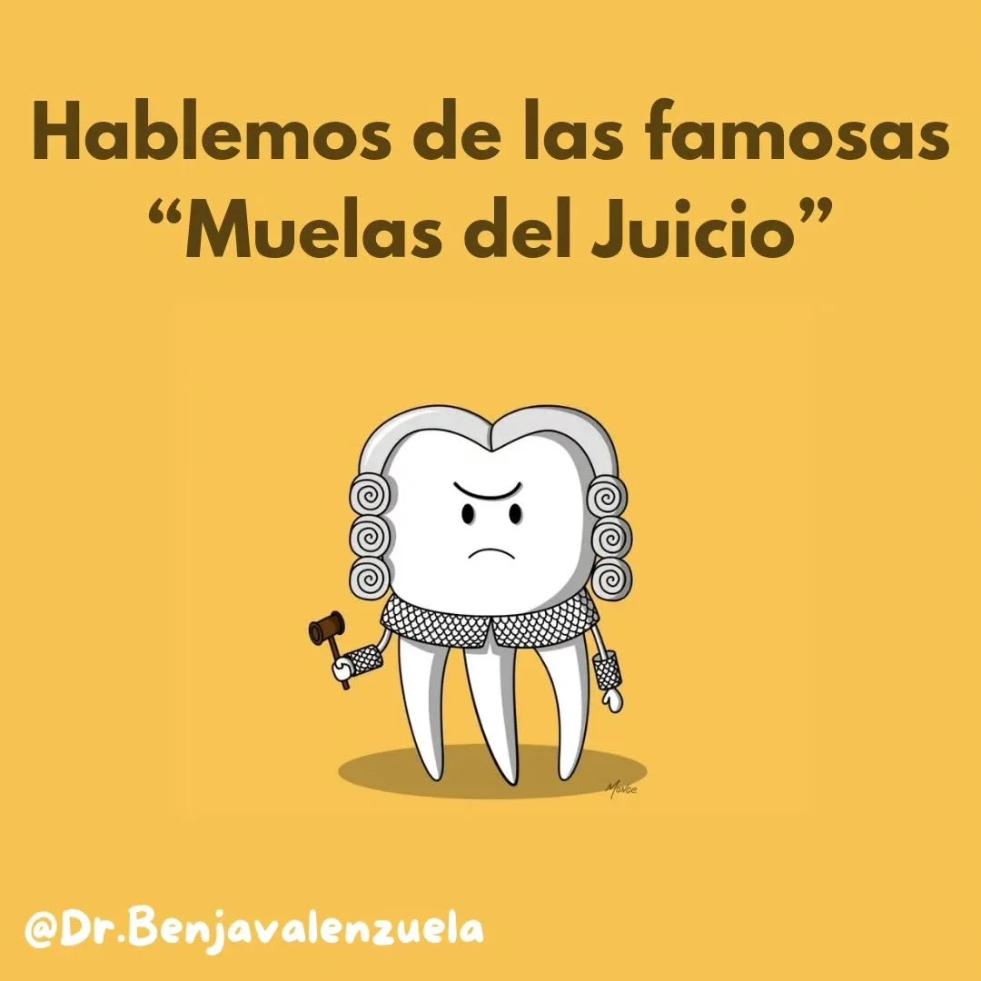Probablemente haz escuchado de las famosas muelas del juicio 👀🦷👨&zwj;⚖

Los terceros molares suelen ser unos de los principales motivos de consulta de los pacientes, principalmente porque causan dolor o molestia.

💡Ac&aacute; te explicamos un poc