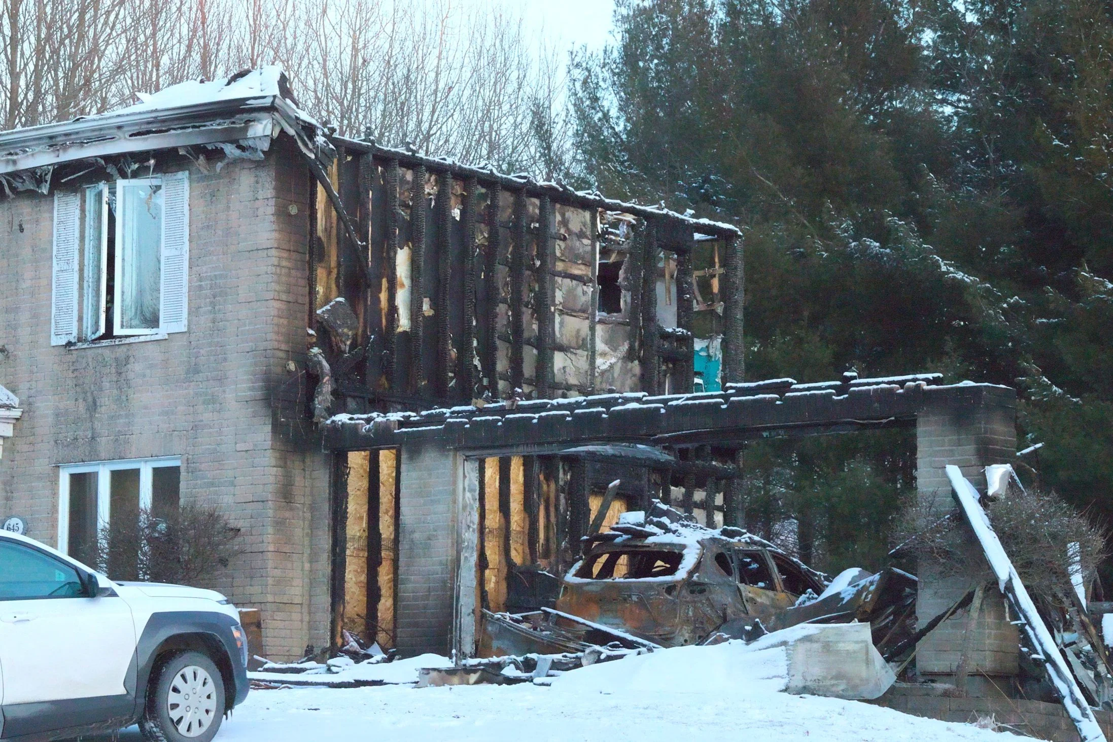 Structural damage analysis fire termite