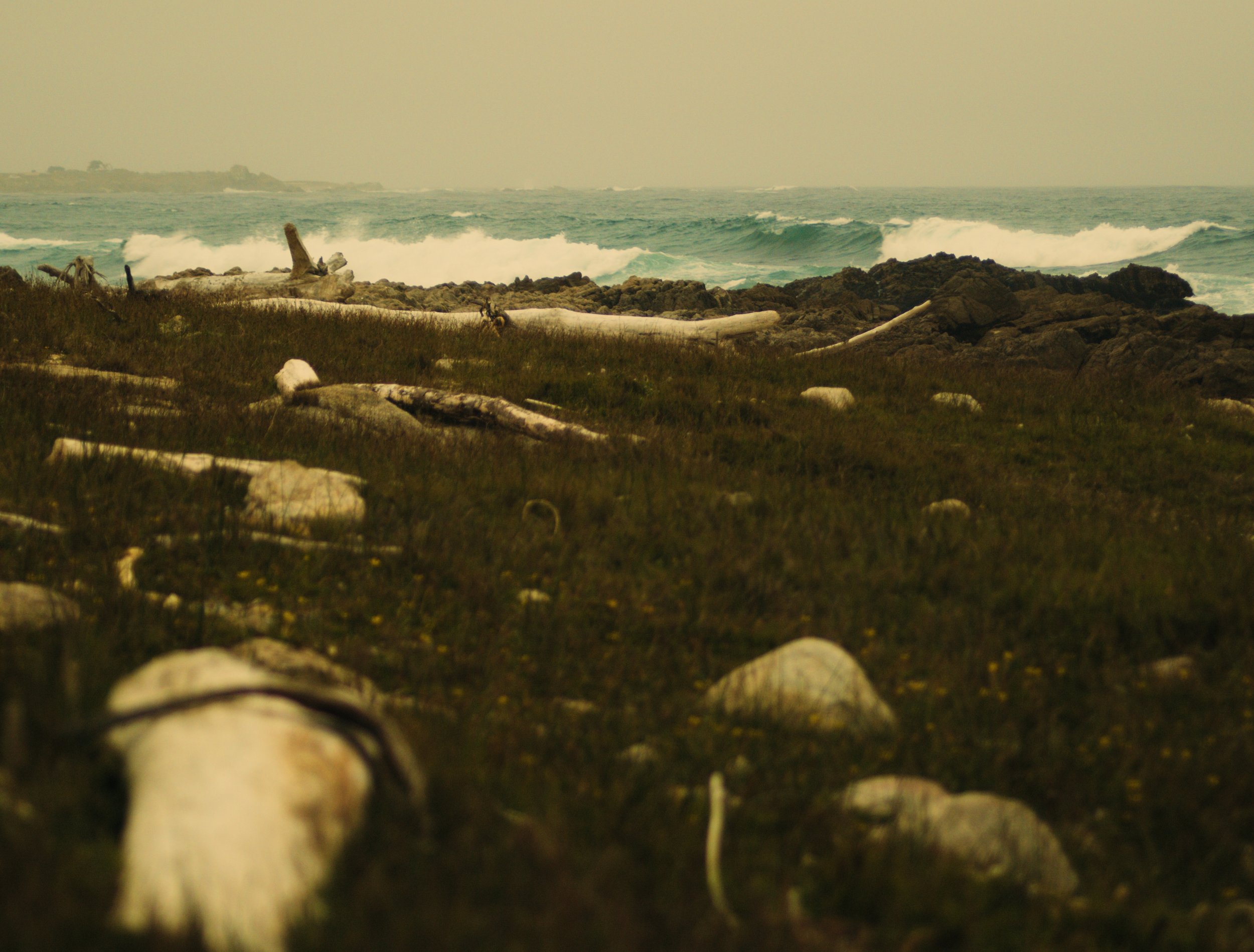 Still 2025-07-15 132217_1.766.1.jpg