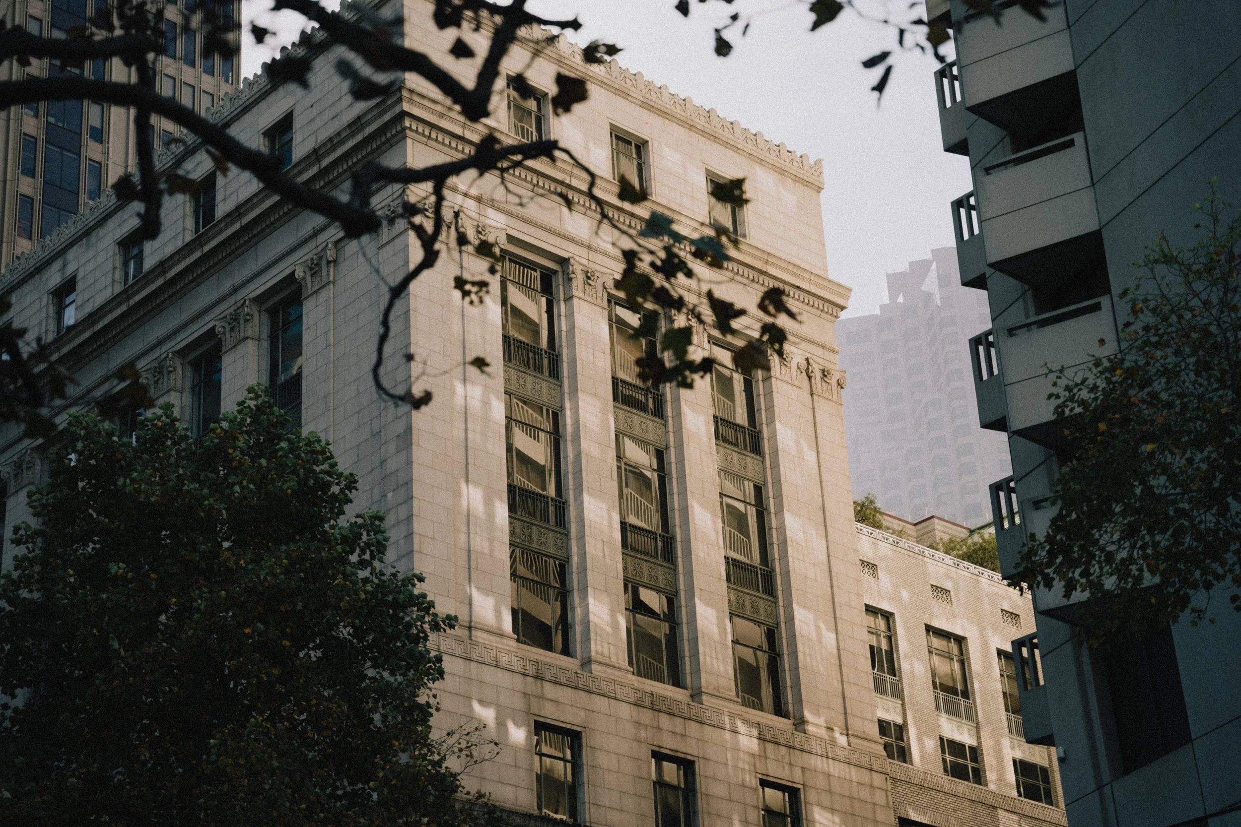 A cityscape featuring a large, ornate beige stone building with tall windows and decorative architectural elements. In the foreground, there are dark tree branches and leaves partially obscuring the view. On the right side, a modern gray building wit