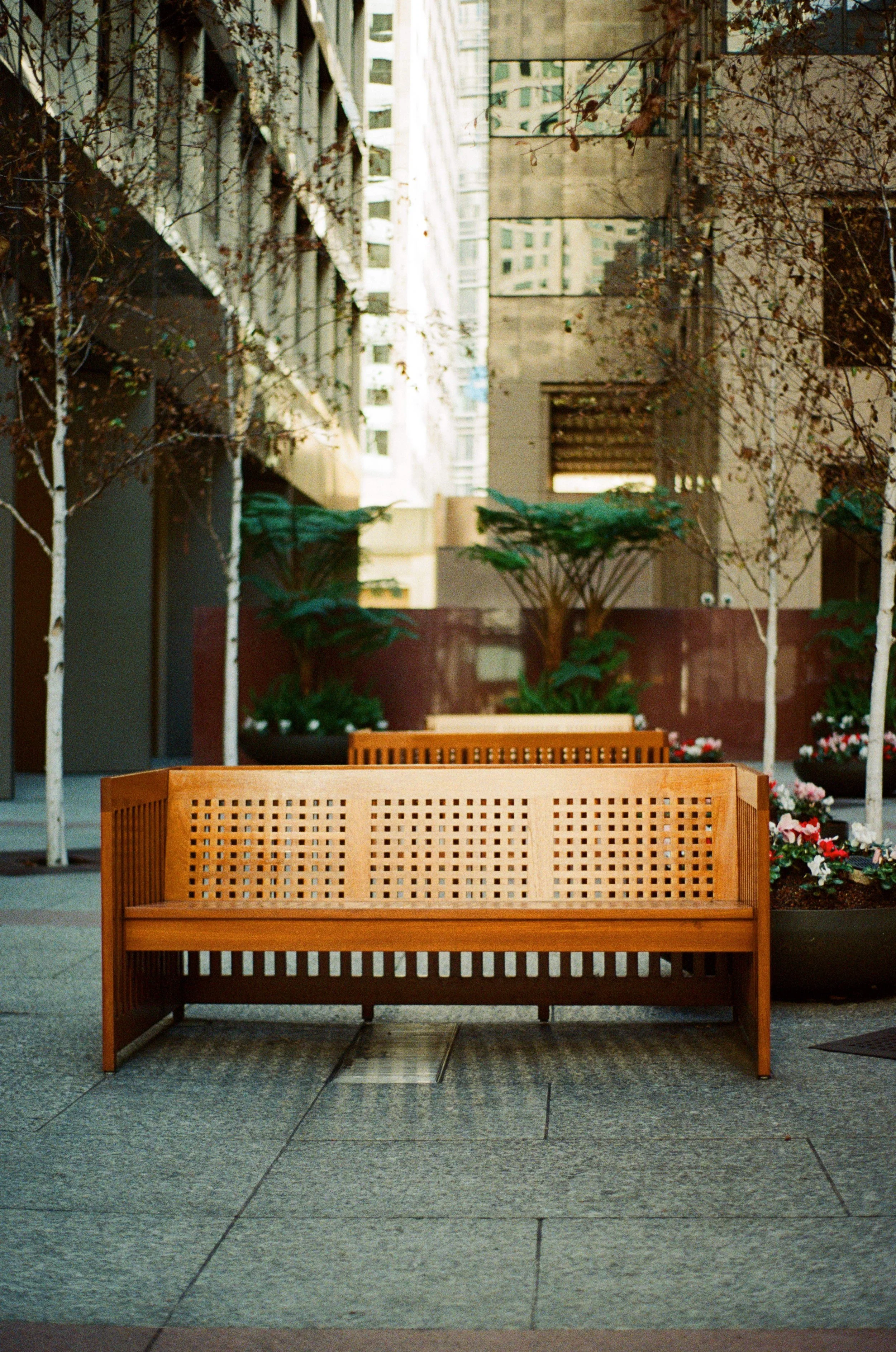 Empty wooden bench on a city sidewalk, surrounded by small trees and planters with flowers, with tall buildings in the background. Photo by Vincent Prograce