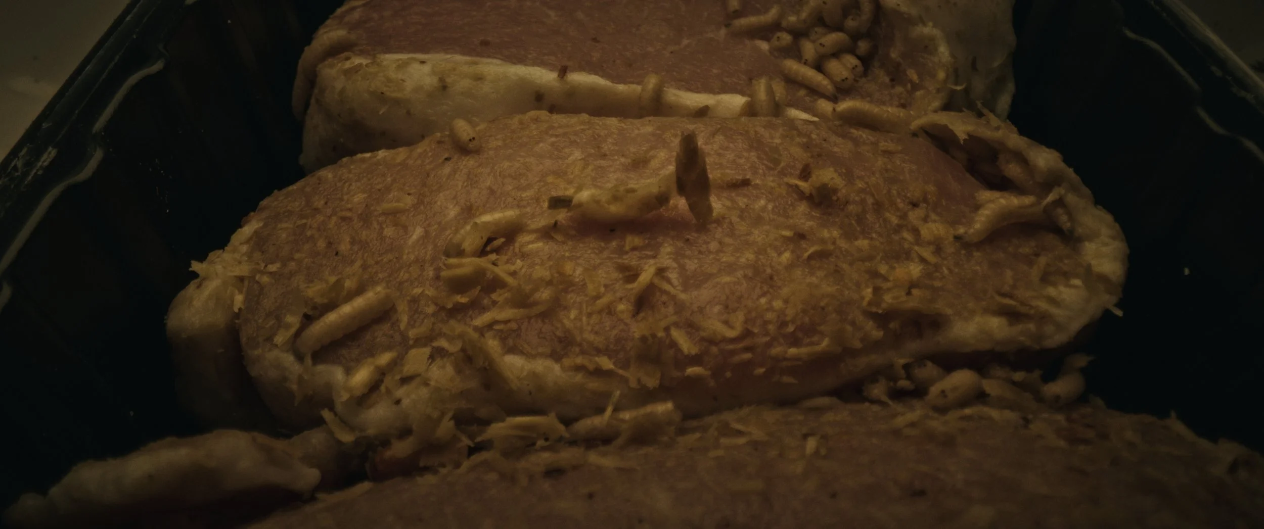 Still 2025-11-03 183312_1.17.1.jpg