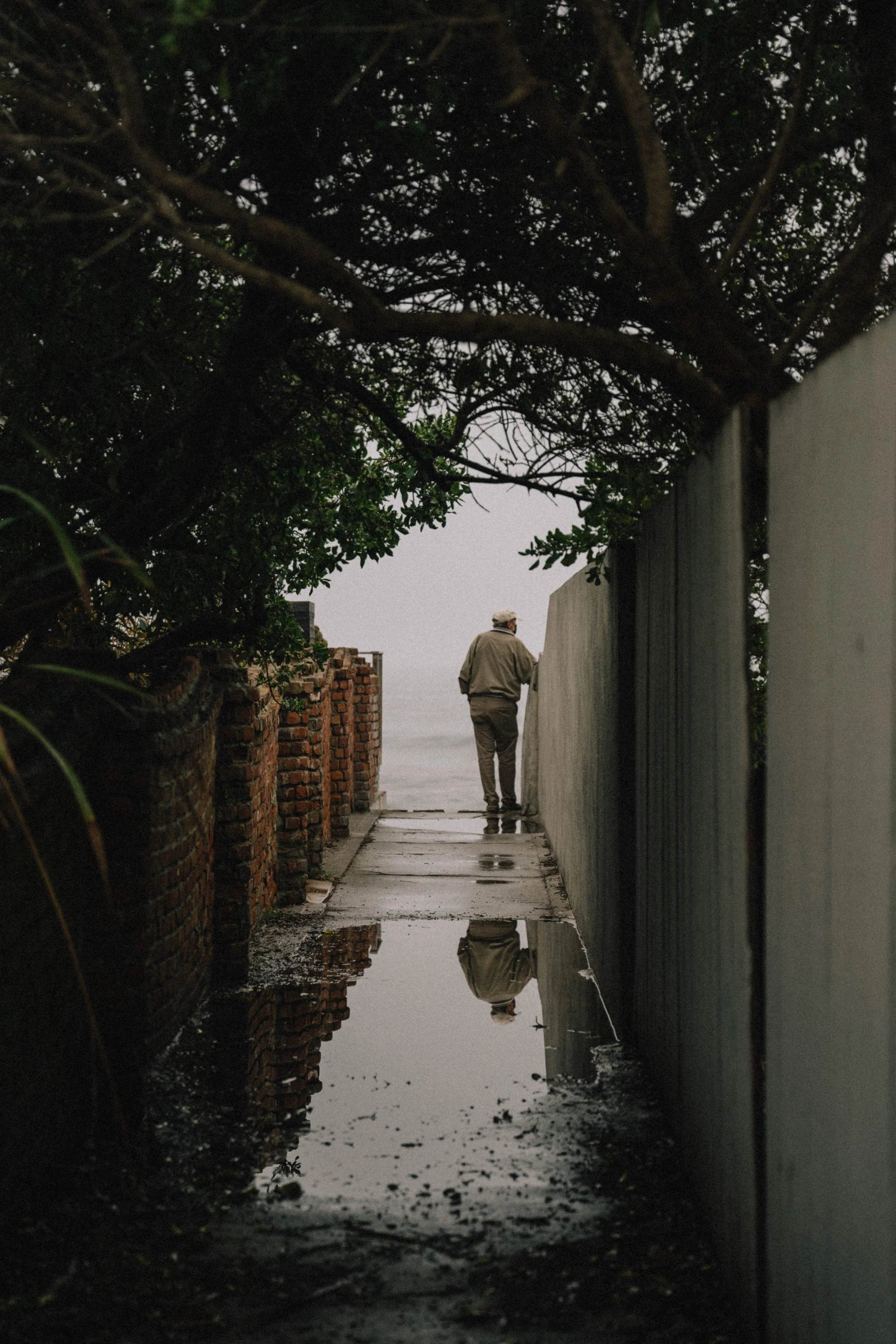 A person walking towards the ocean along a narrow path flanked by brick and concrete walls, with tree branches overhead and a puddle reflecting the scene. Photo by Vincent Prograce