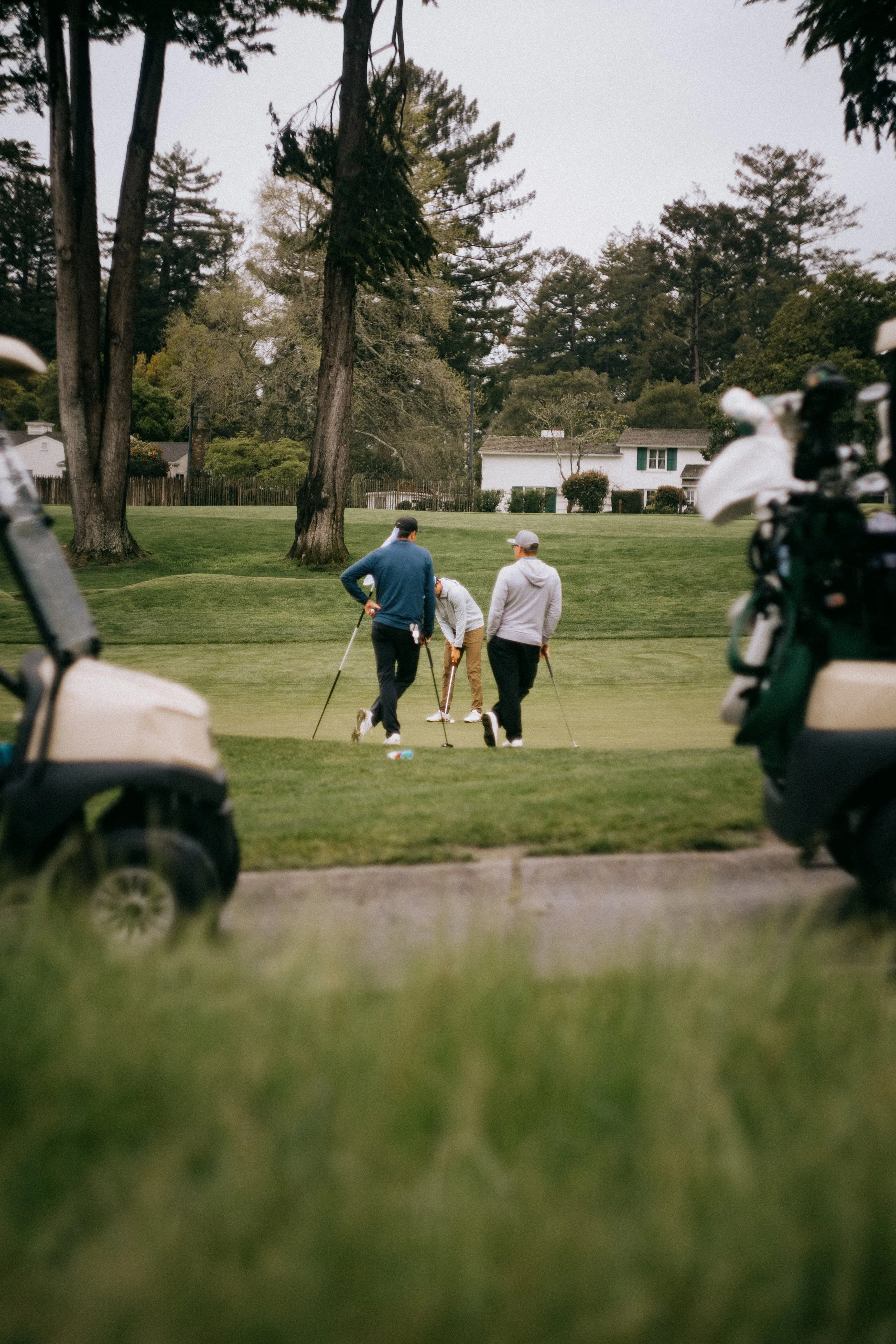 Four men playing golf at Pasatiempo Golf Club, surrounded by trees and residential houses, with golf carts parked in the foreground. Photo by Vincent Prograce
