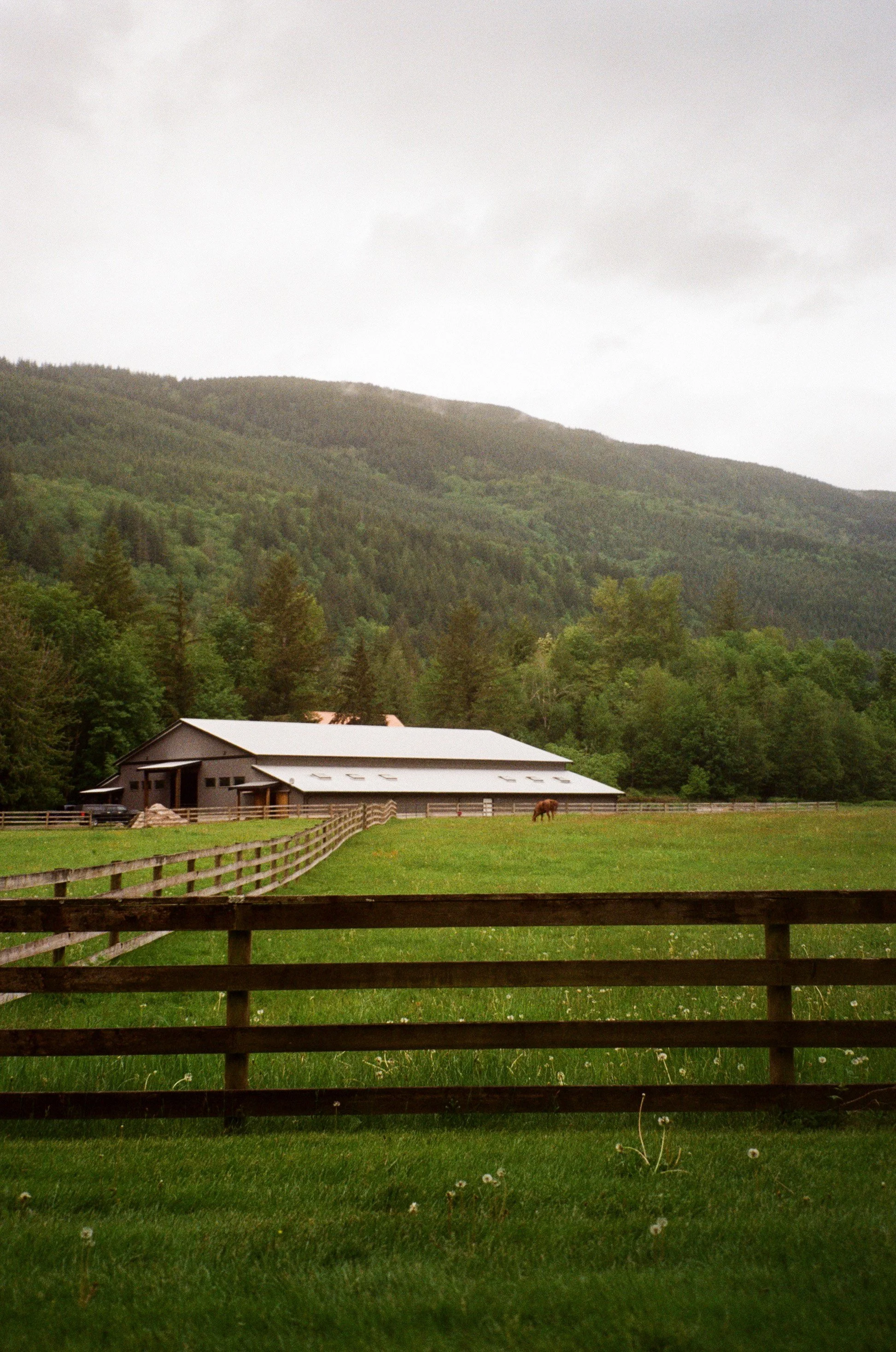 A rural scene with a fenced grassy field, a barn in the background, and a single horse grazing, surrounded by trees and mountains under a cloudy sky. Photo by Vincent Prograce