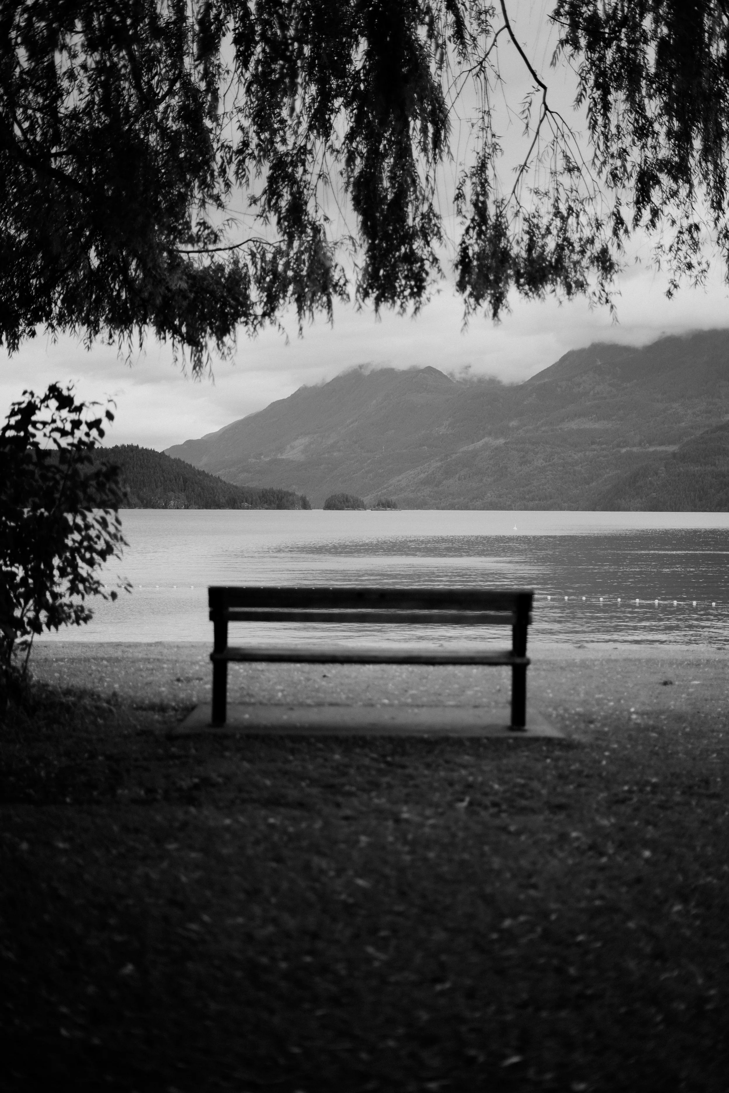 A black-and-white photo of a bench facing a lake, with mountains in the background and trees framing the scene. Photo by Vincent Prograce