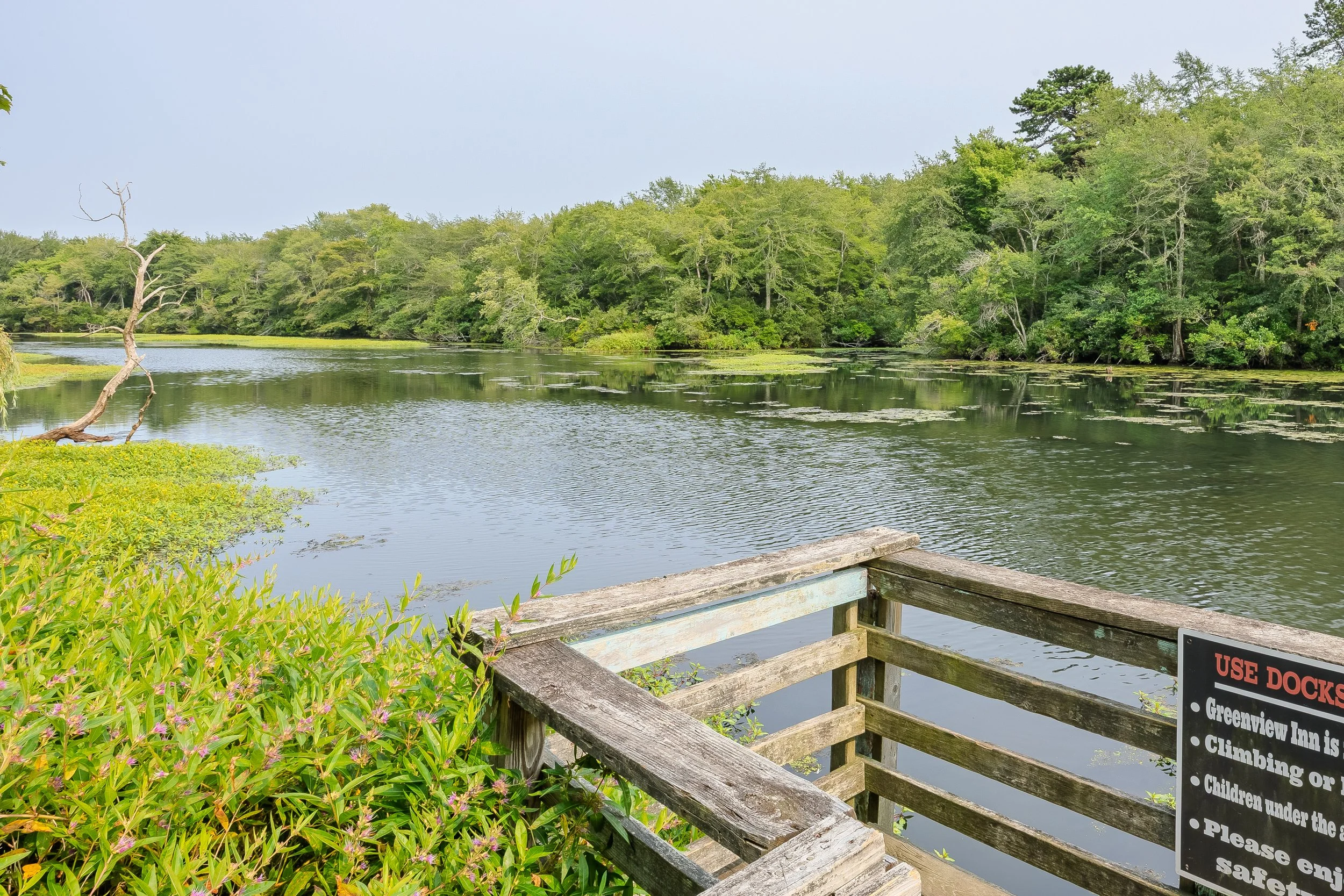 View of a calm river surrounded by lush green trees, with a wooden dock and a sign on the right side in the foreground.