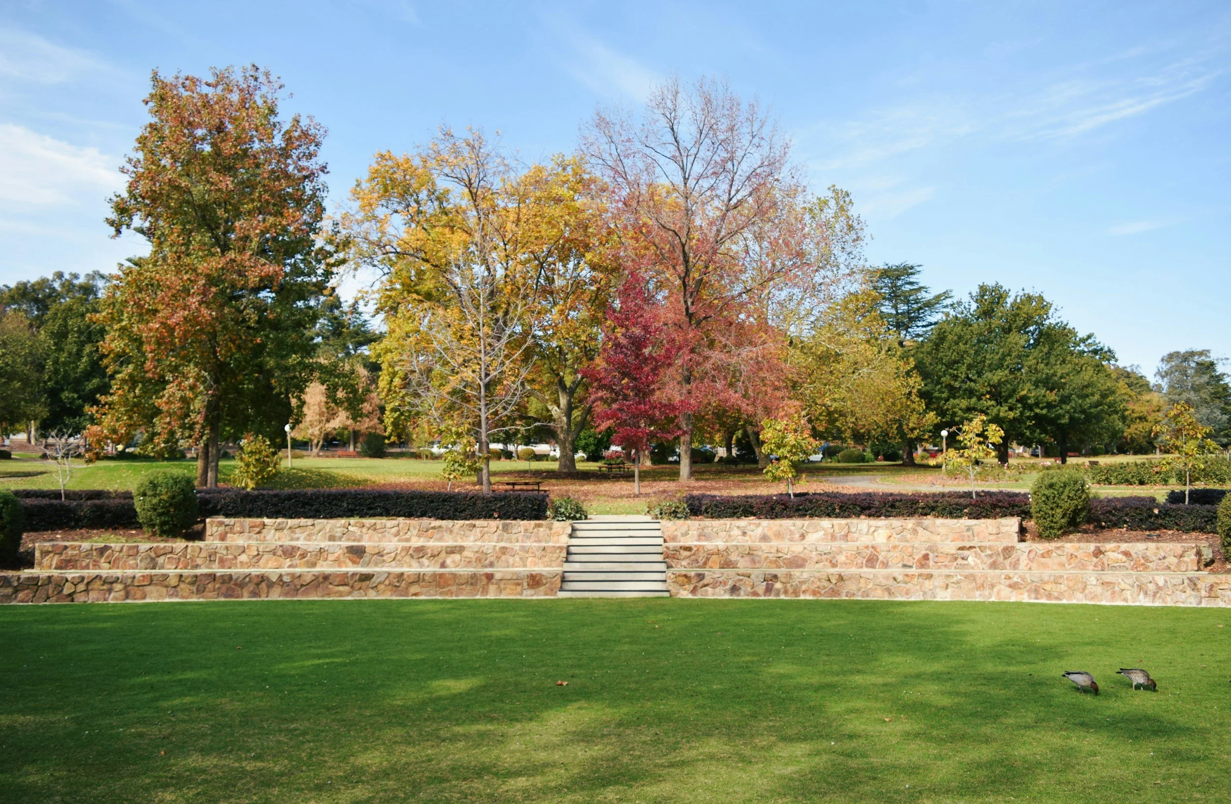 A park with a green lawn, stone steps, and trees with colorful autumn leaves under a blue sky.