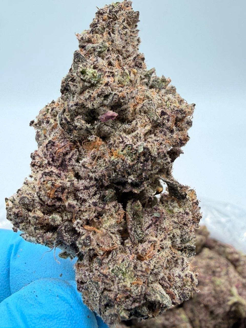 ROCK CANDY