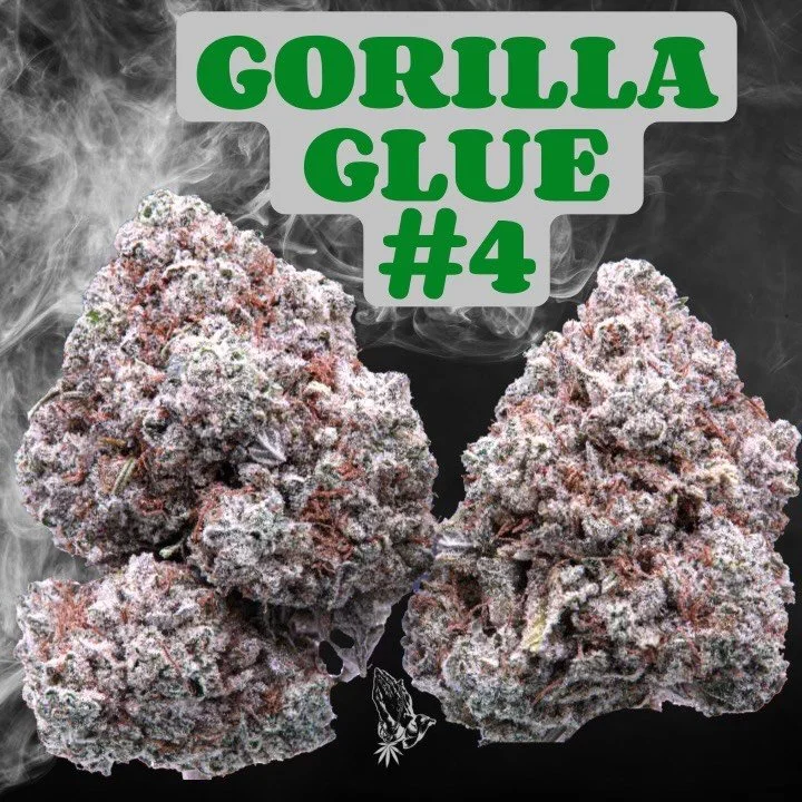 GORILLA GLUE #4