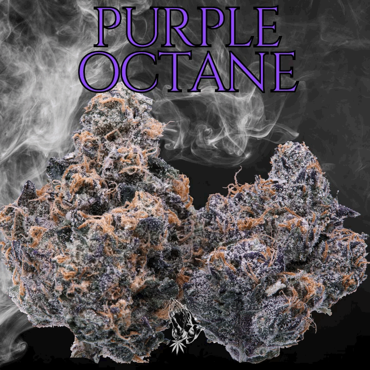 PURPLE OCTANE
