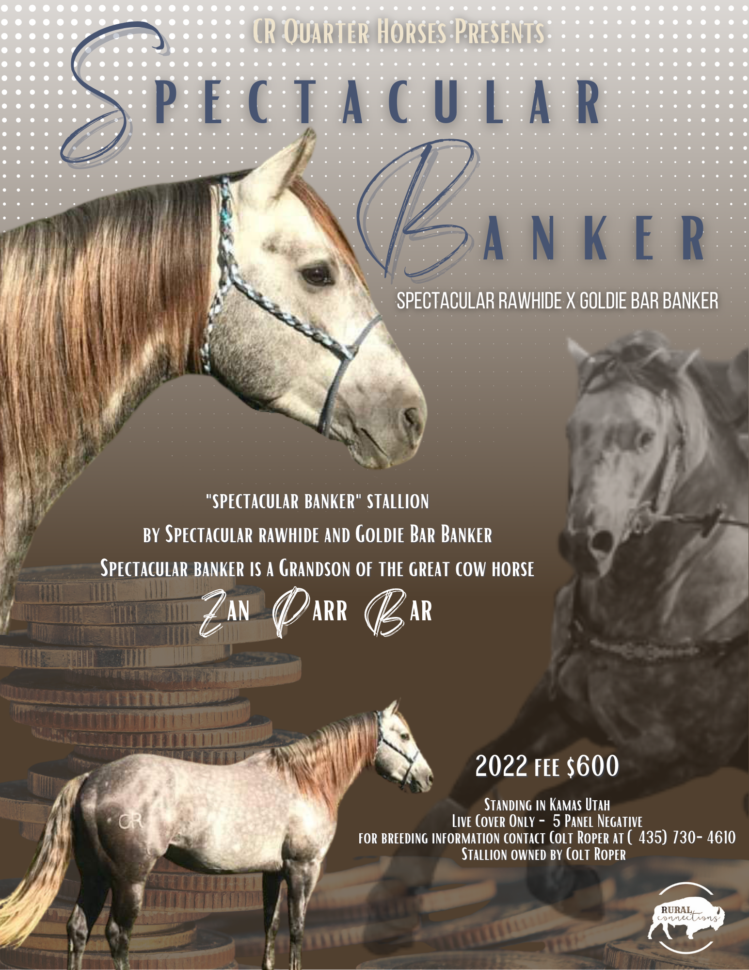 A promotional poster for a horse auction featuring a light-colored horse with a halter, stacked coins, and black and white photos of a horse in motion. The background is polka-dotted with text information about the auction event.
