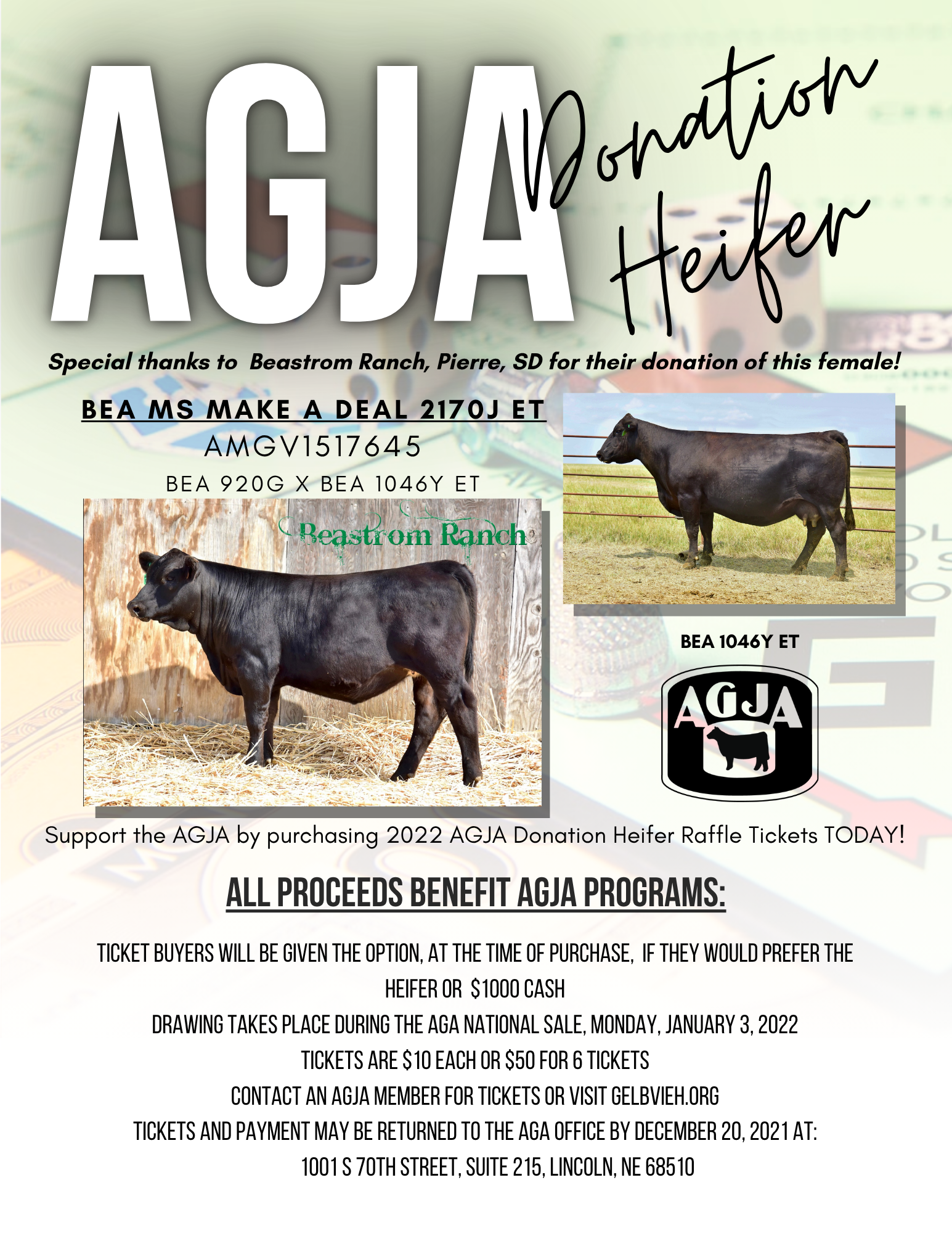 Poster promoting a raffle for a donor heifer from Beastrom Ranch, with photos of a black cow, the AGJA logo, and details about the event and proceeds benefiting AGJA programs.