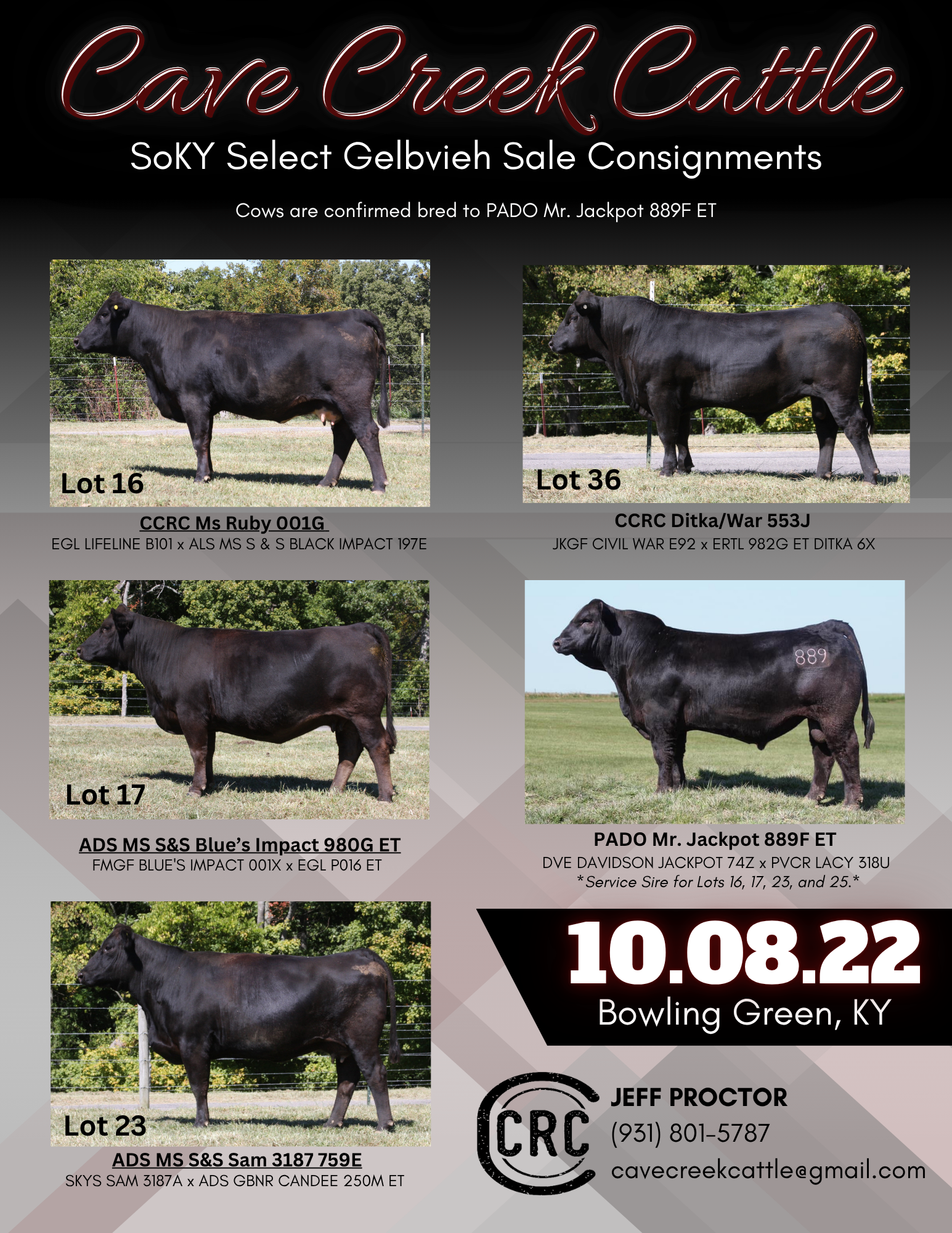 A cattle auction flyer featuring five black cattle with lots numbered 16, 17, 23, 36, and a highlighted lot 889, with details about their breeding and sale date of October 8, 2022, in Bowling Green, Kentucky.
