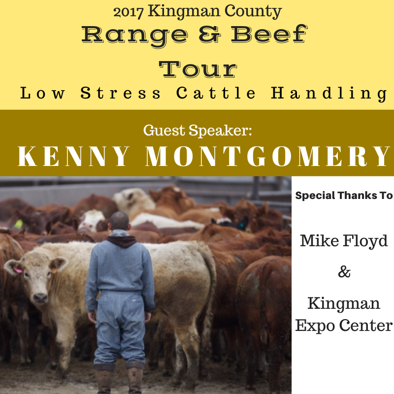 Farmer in blue overalls standing among cattle on a farm, with a yellow and brown promotional poster overlayed for the 2017 Kingman County Range & Beef Tour and Low Stress Cattle Handling seminar with guest speaker Kenny Montgomery.